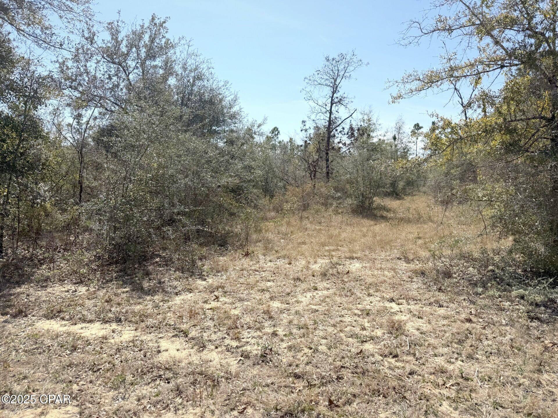 Chipley, FL 32428,Lot 21 Valiant DR