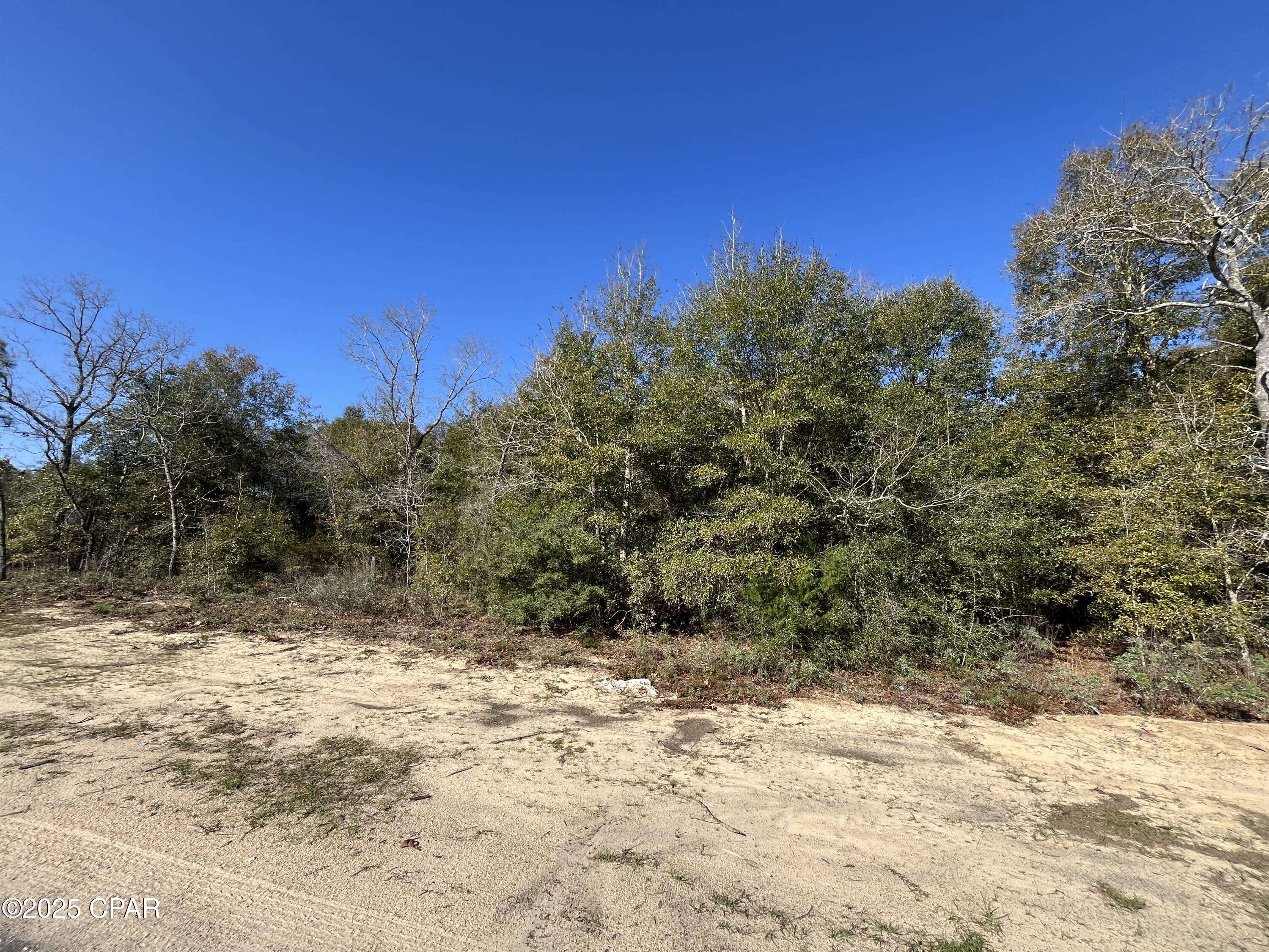 Chipley, FL 32428,Lot 5 Viking DR
