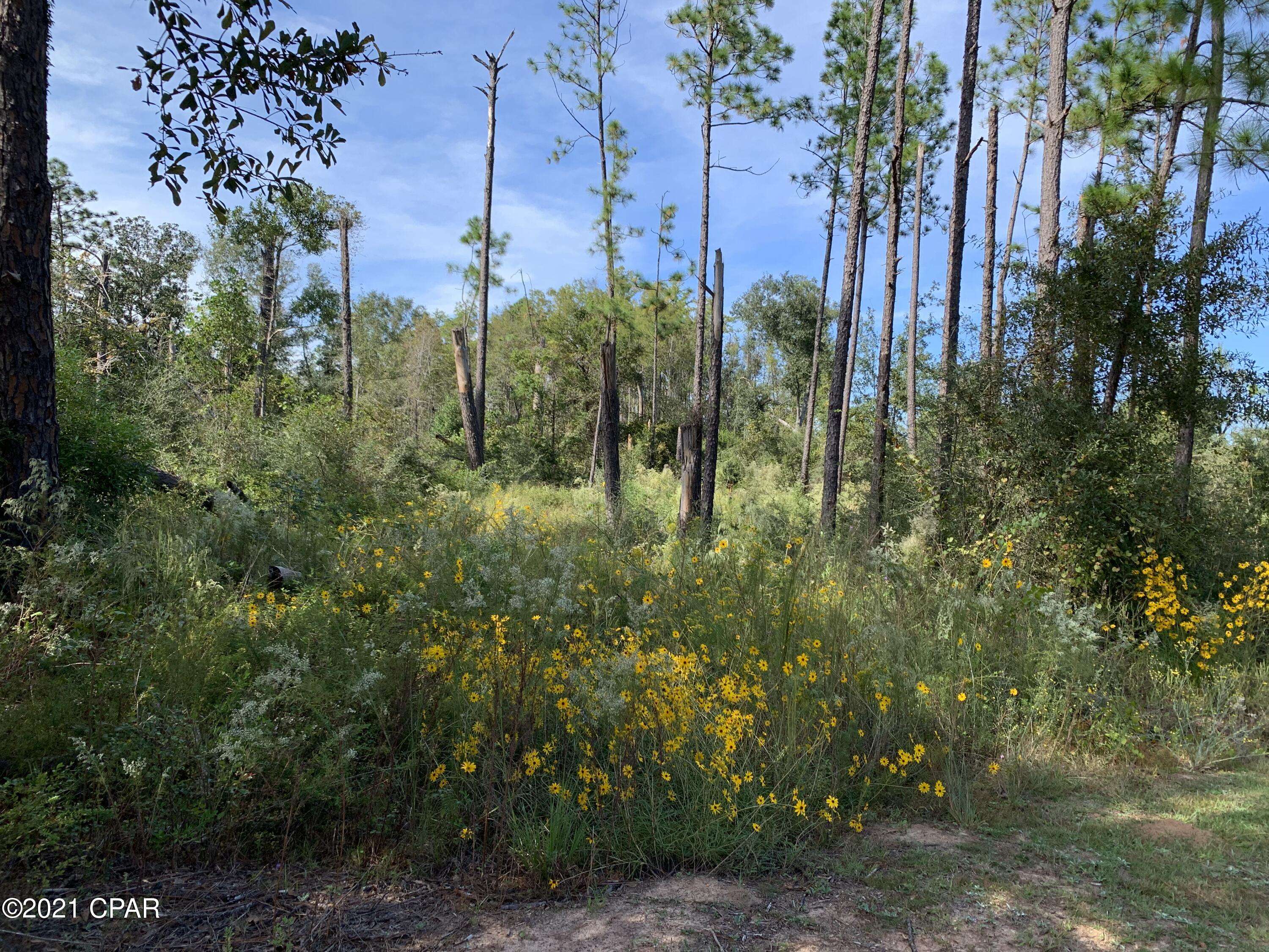 Alford, FL 32420,0 Drury LN