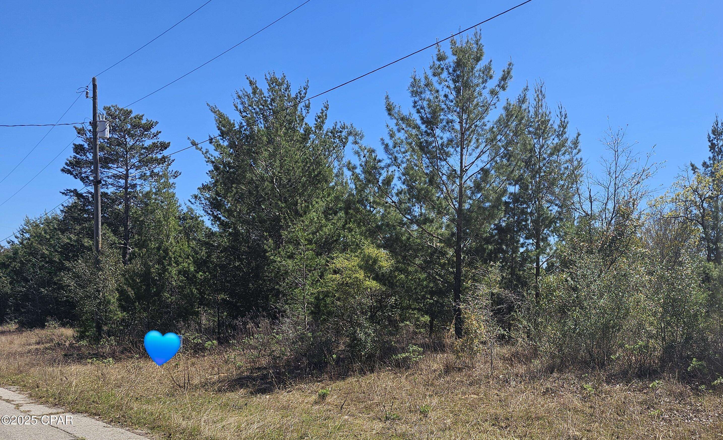 Chipley, FL 32428,Lot 3 Hague LN #01