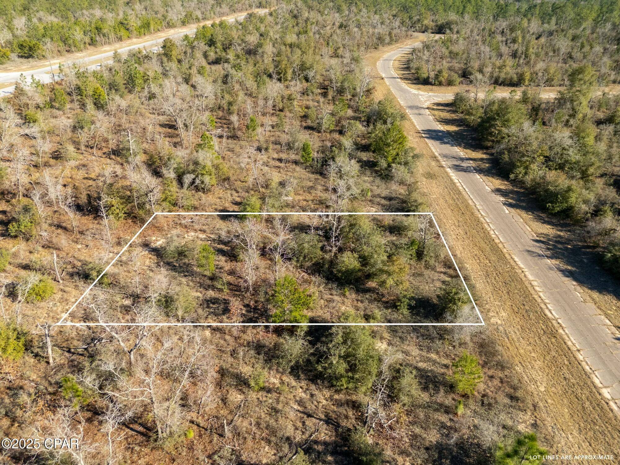 Chipley, FL 32428,TBD Eldron Place