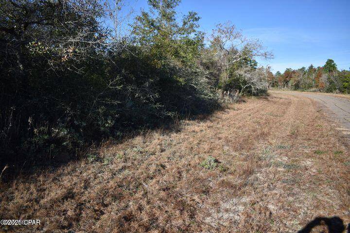 Chipley, FL 32428,000 Laredo DR