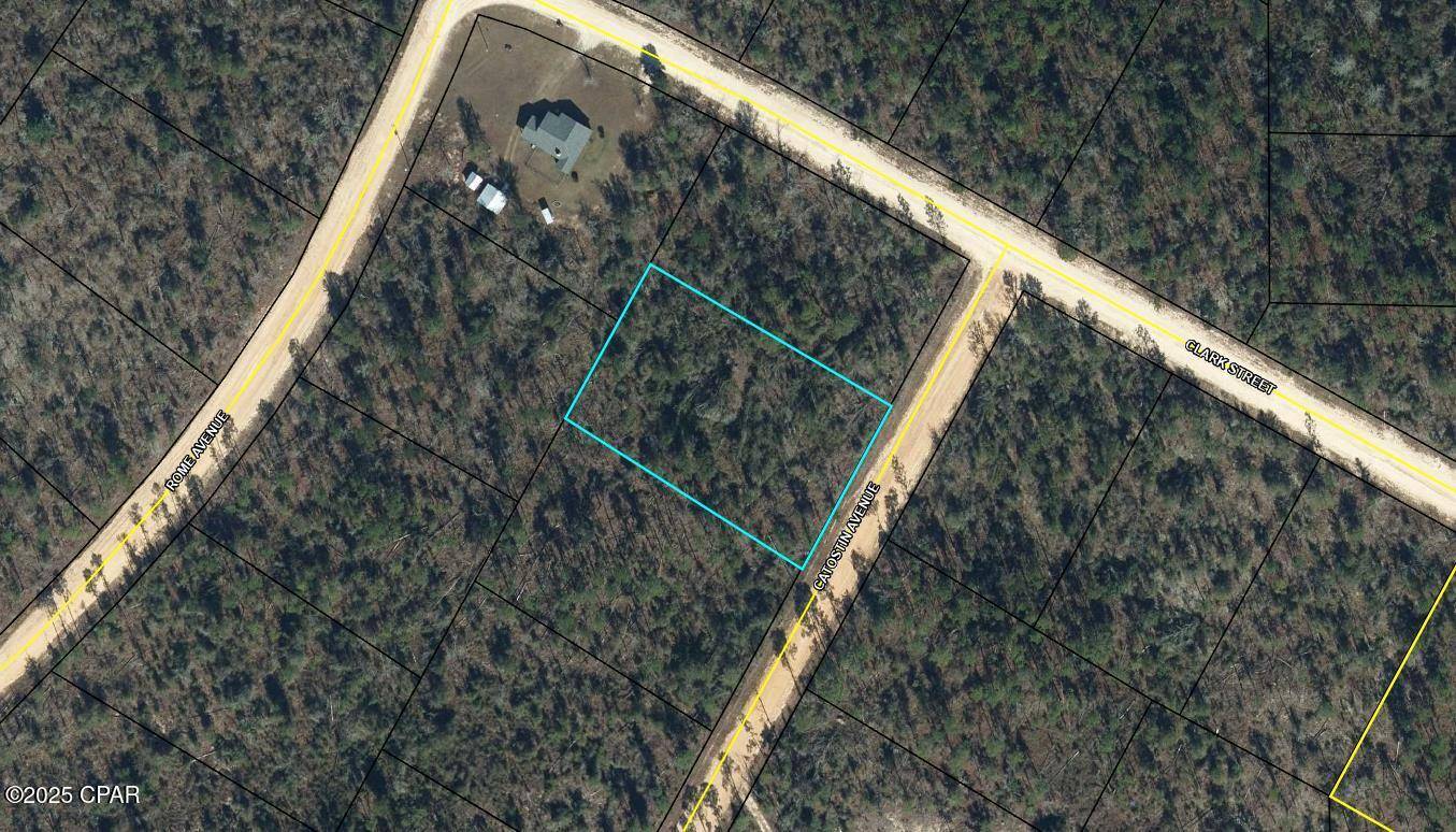 Alford, FL 32420,Lot 2 Catostin AVE