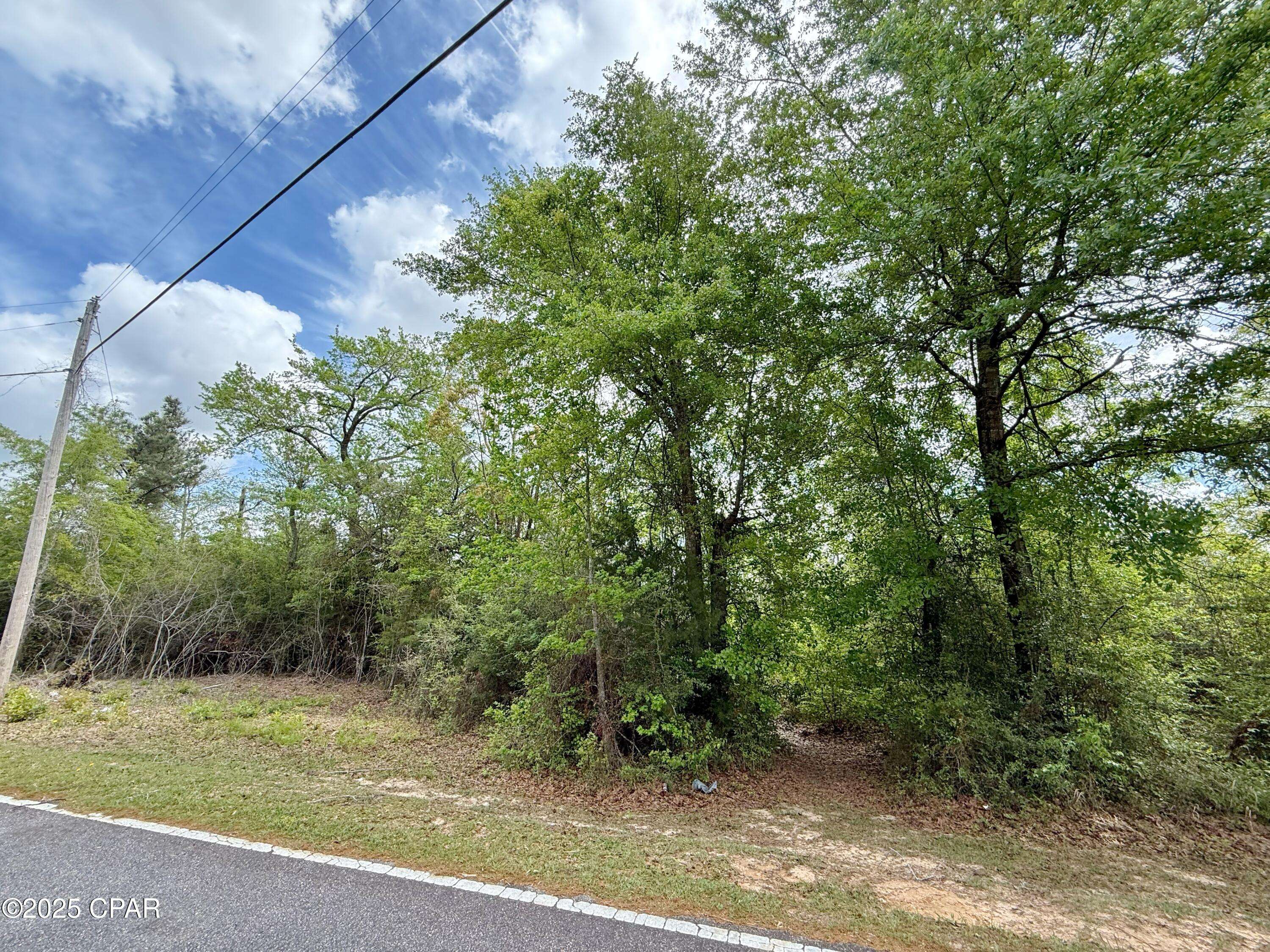 Marianna, FL 32448,00 Mashburn RD
