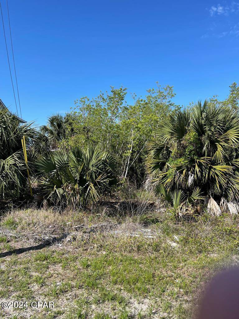 Port St. Joe, FL 32456,10 Americus AVE