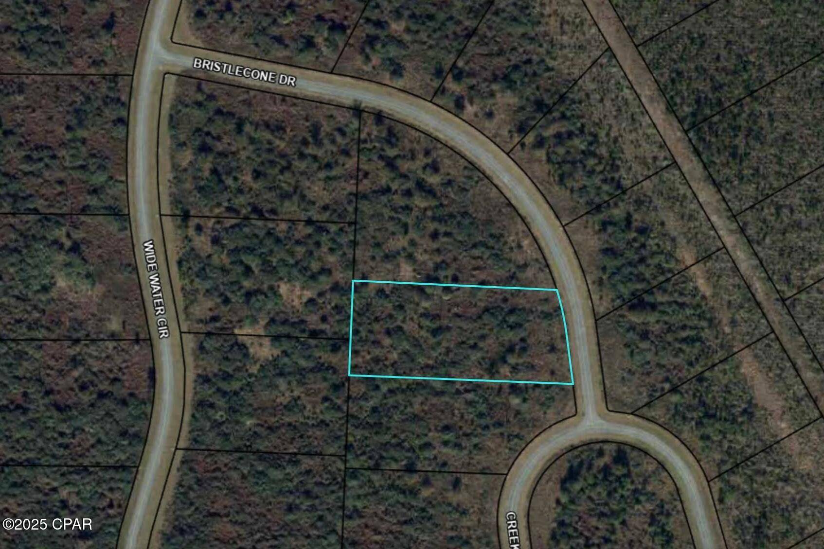 Wewahitchka, FL 32465,110 Bristle Cone DR