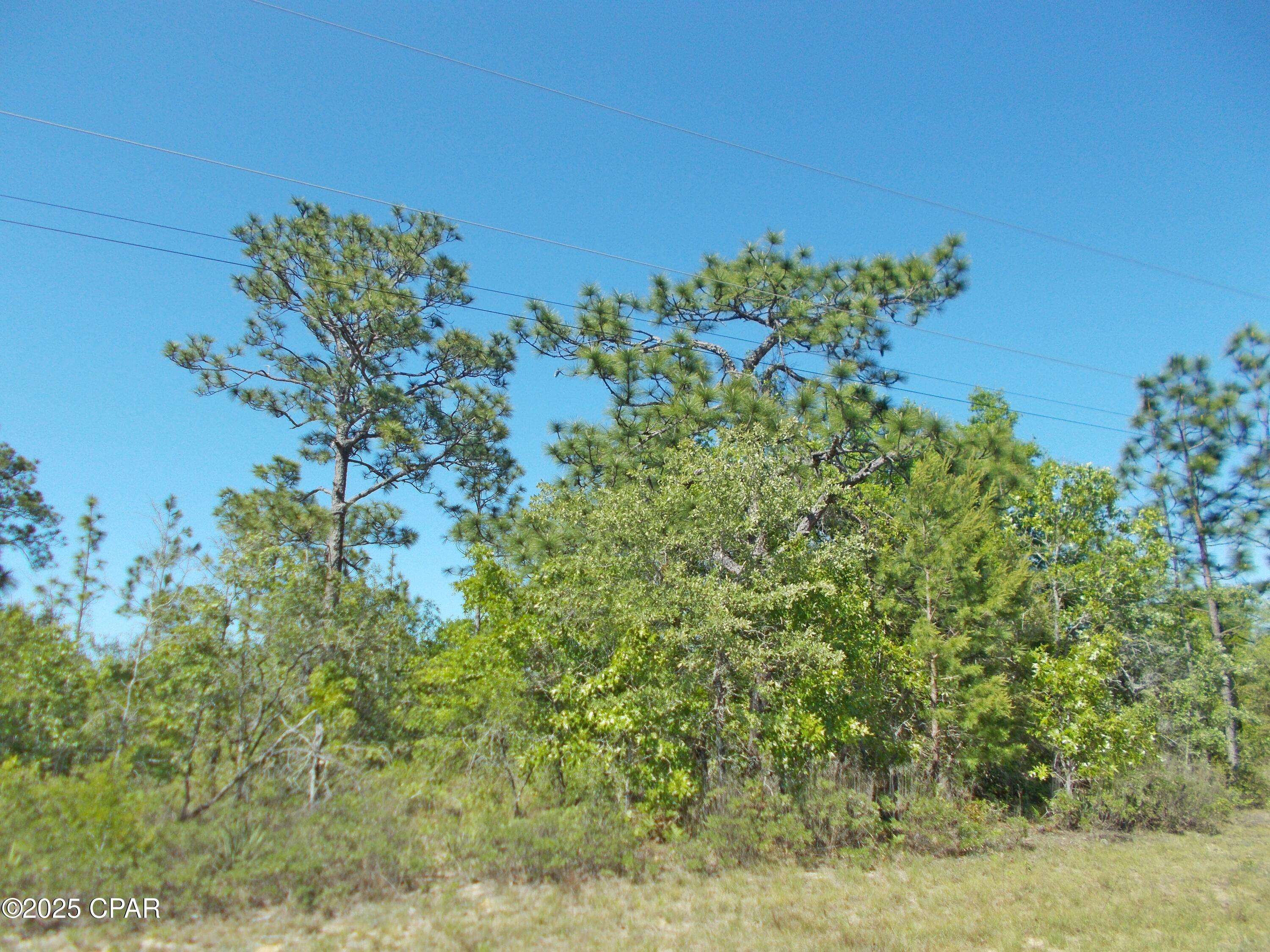 Chipley, FL 32428,Lot 33 Ardenwood DR