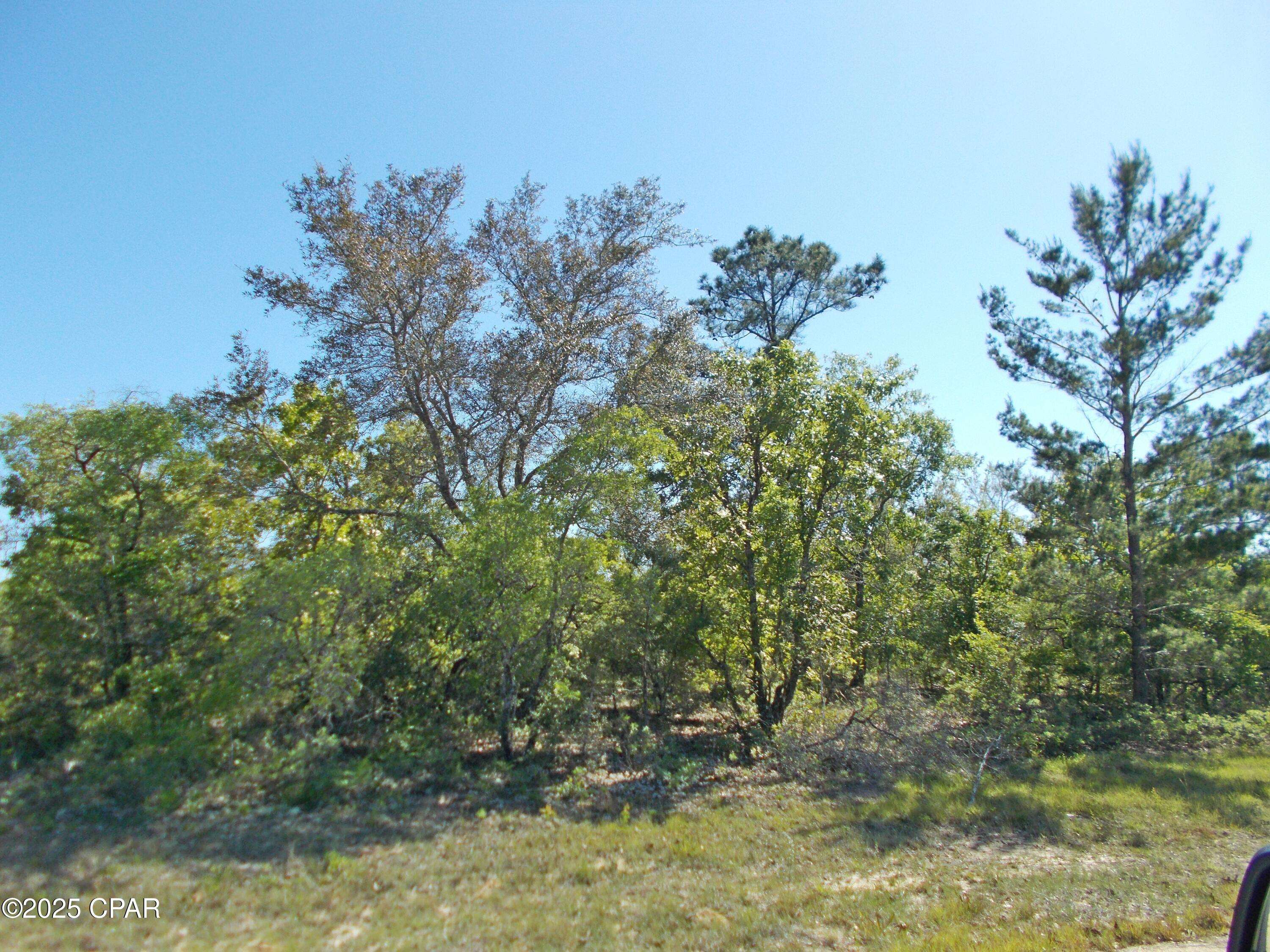 Chipley, FL 32428,Lot 11 Alden ST #8