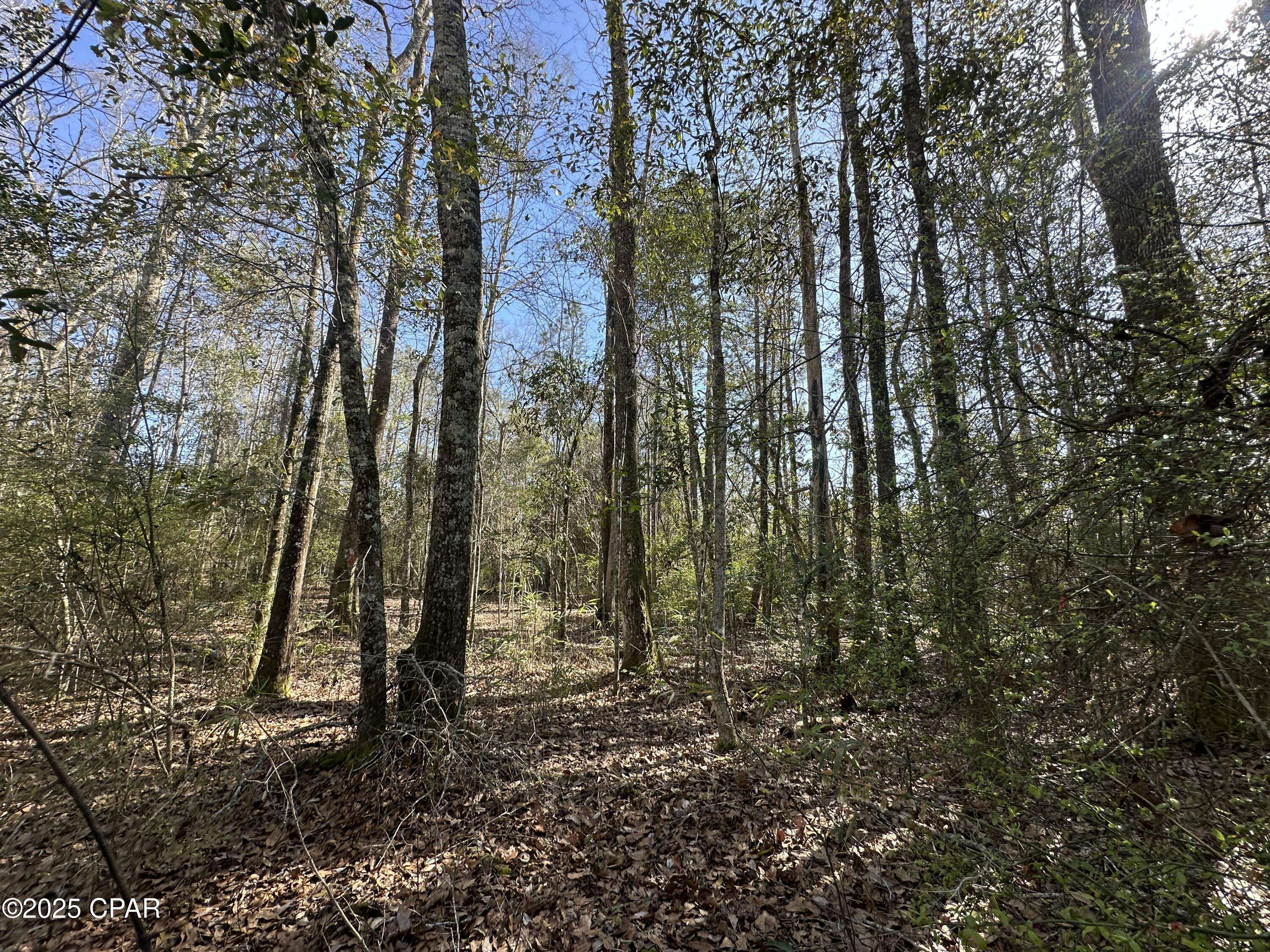 Bonifay, FL 32425,Tract#6317 Harris Stevenson Road