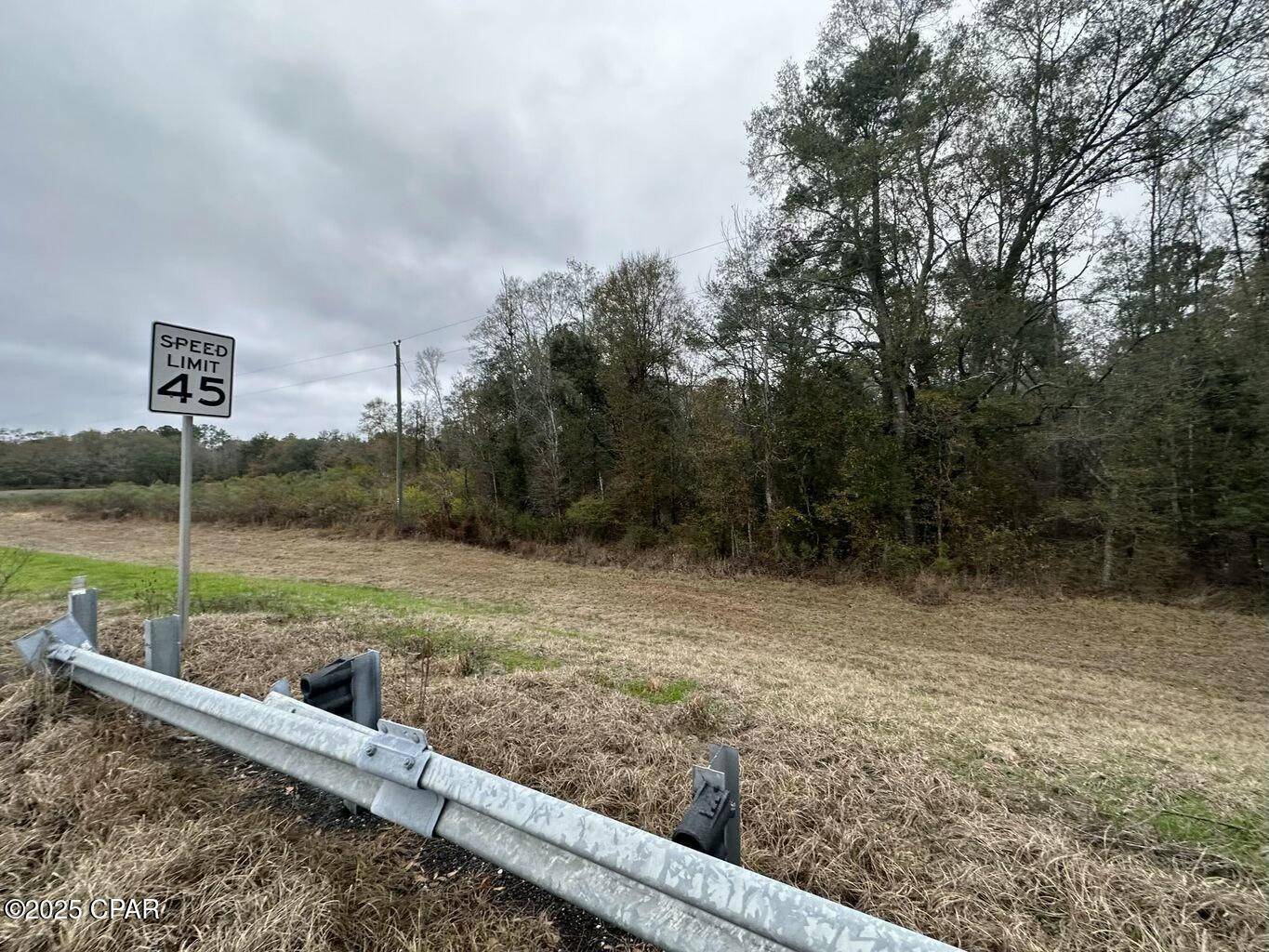 Bonifay, FL 32425,Tract#6326 Tri County Road #59 +/- AC