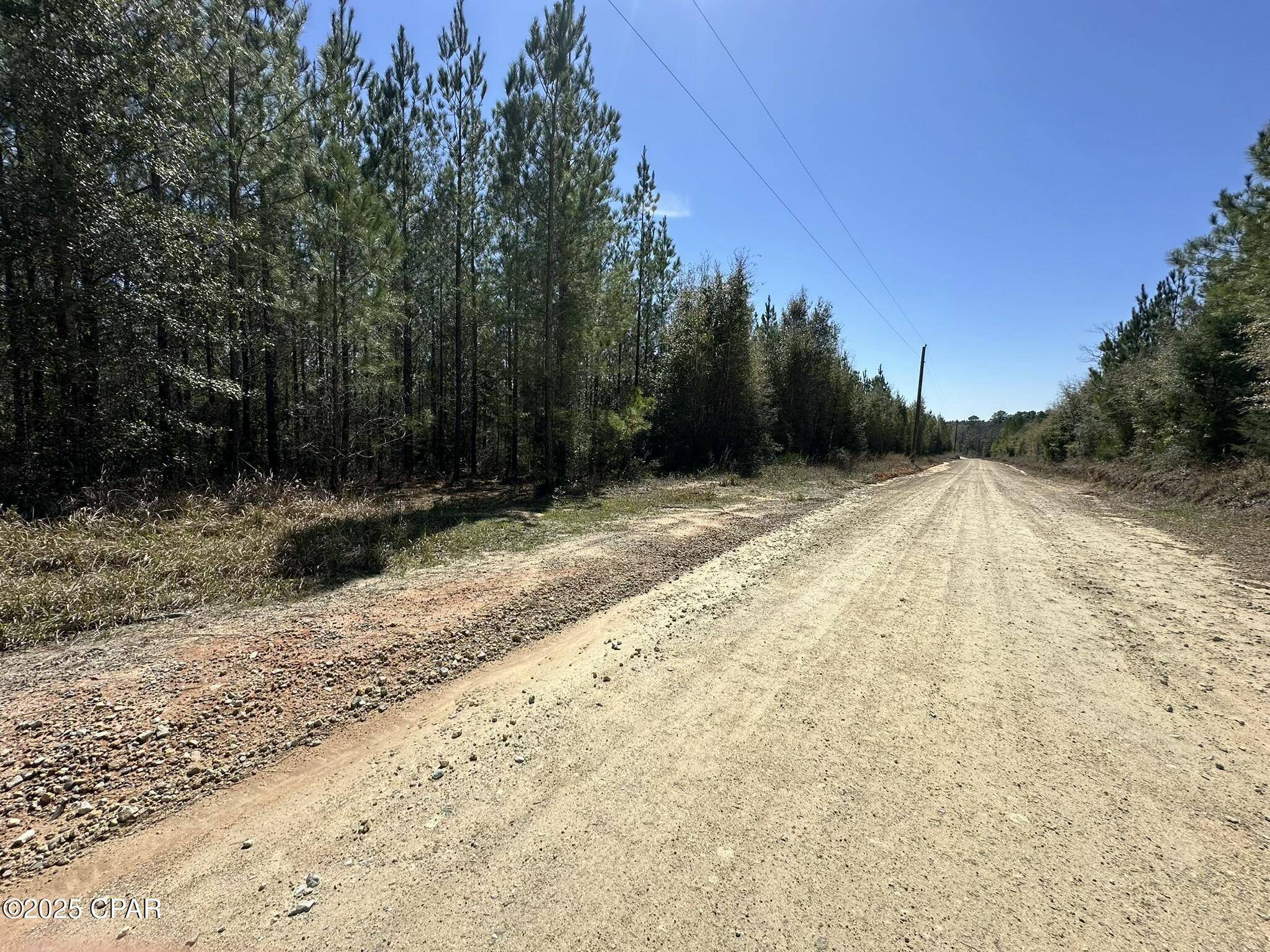 Caryville, FL 32427,Tract#6418 Mattox Springs East North