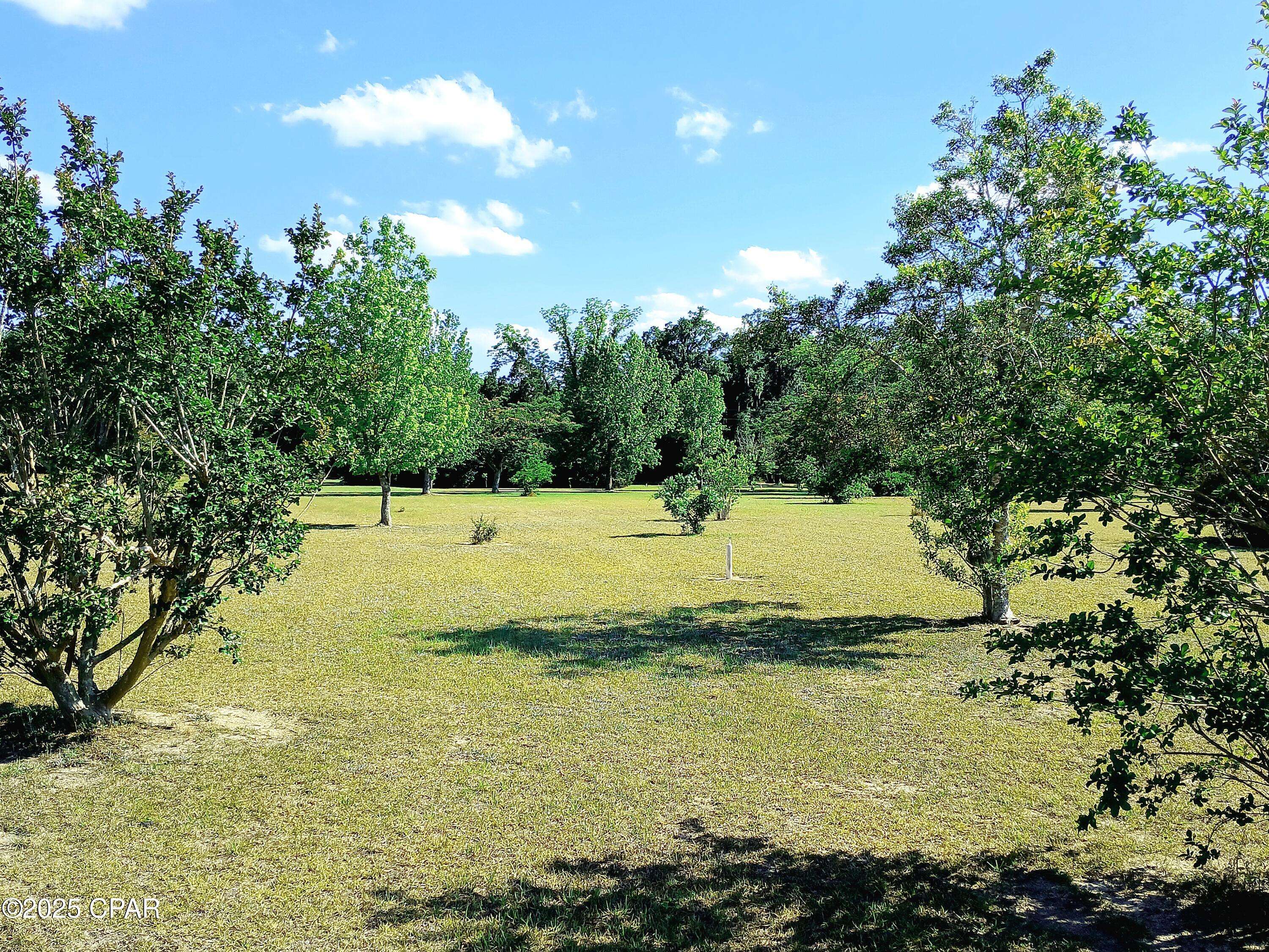 Bascom, FL 32423,6694 Wolf Pond RD