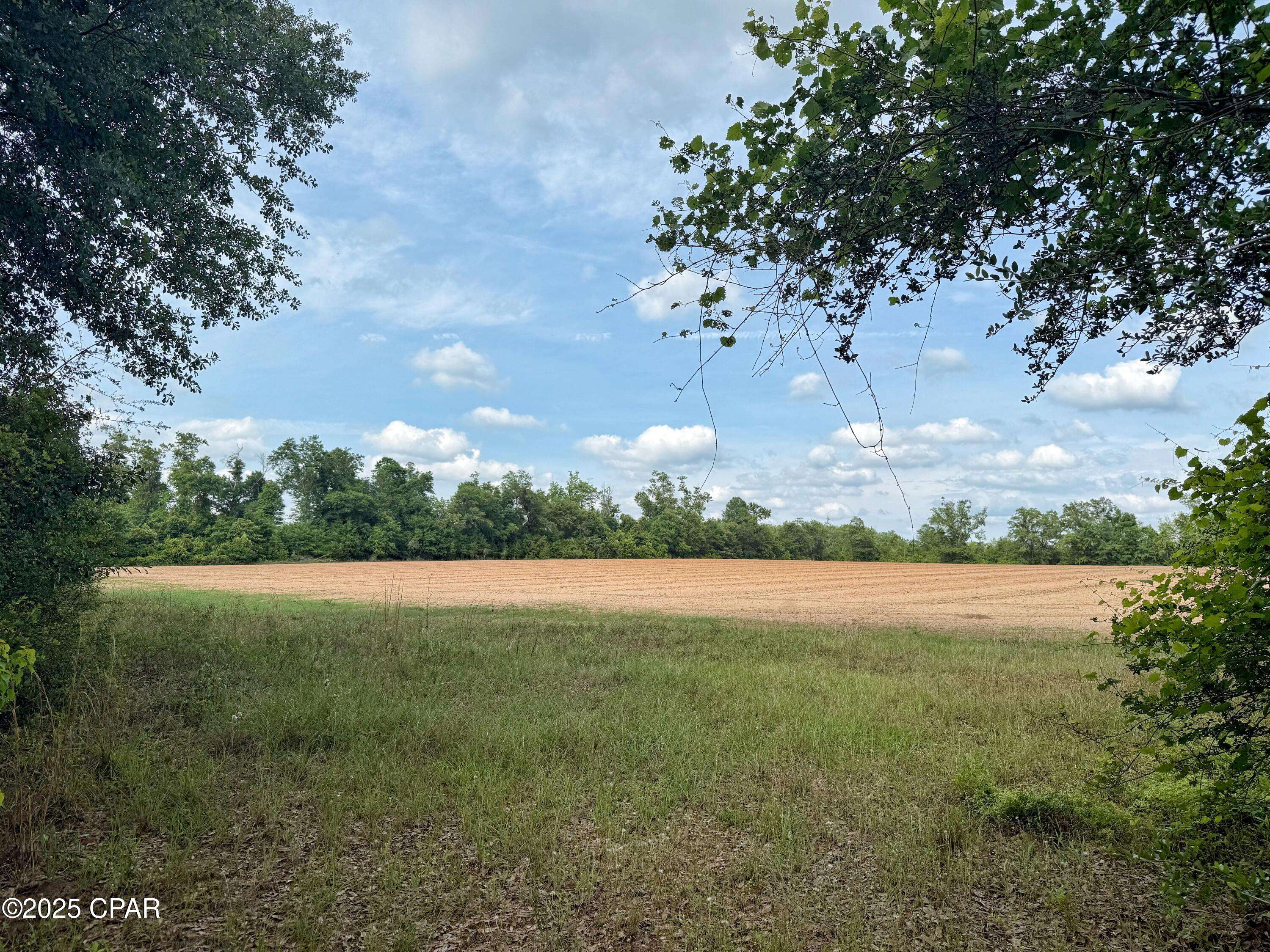 Marianna, FL 32448,00 Delta LN