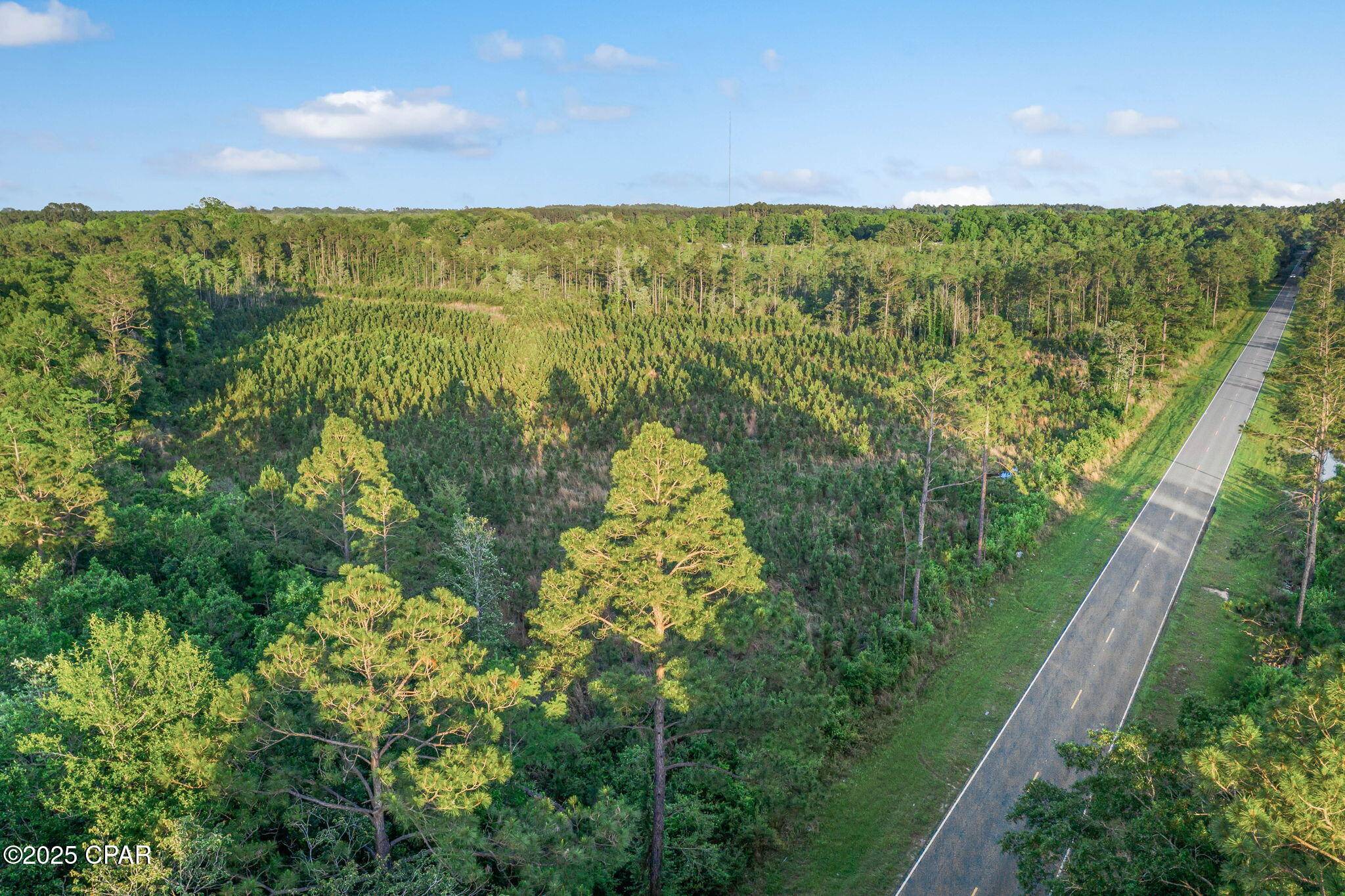 Bonifay, FL 32425,XXX CR 177 #Lot 1