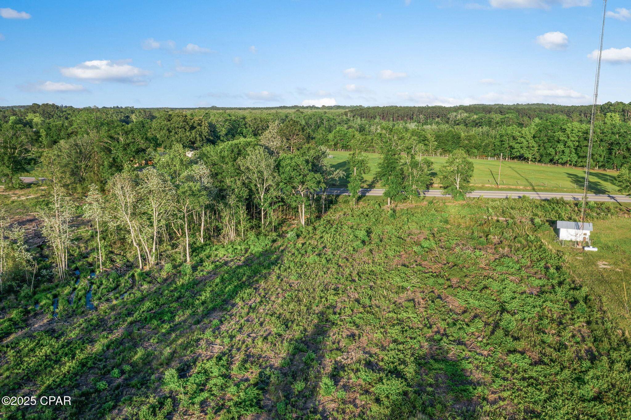 Bonifay, FL 32425,XXX Hwy 79 #Lot 5