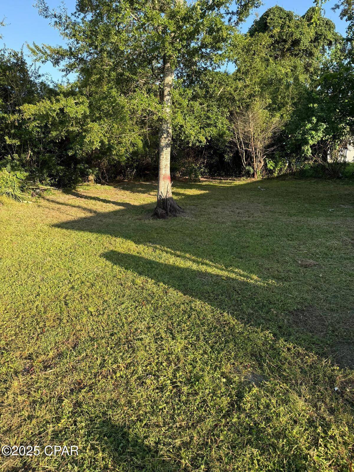 Panama City, FL 32401,706 Bay AVE