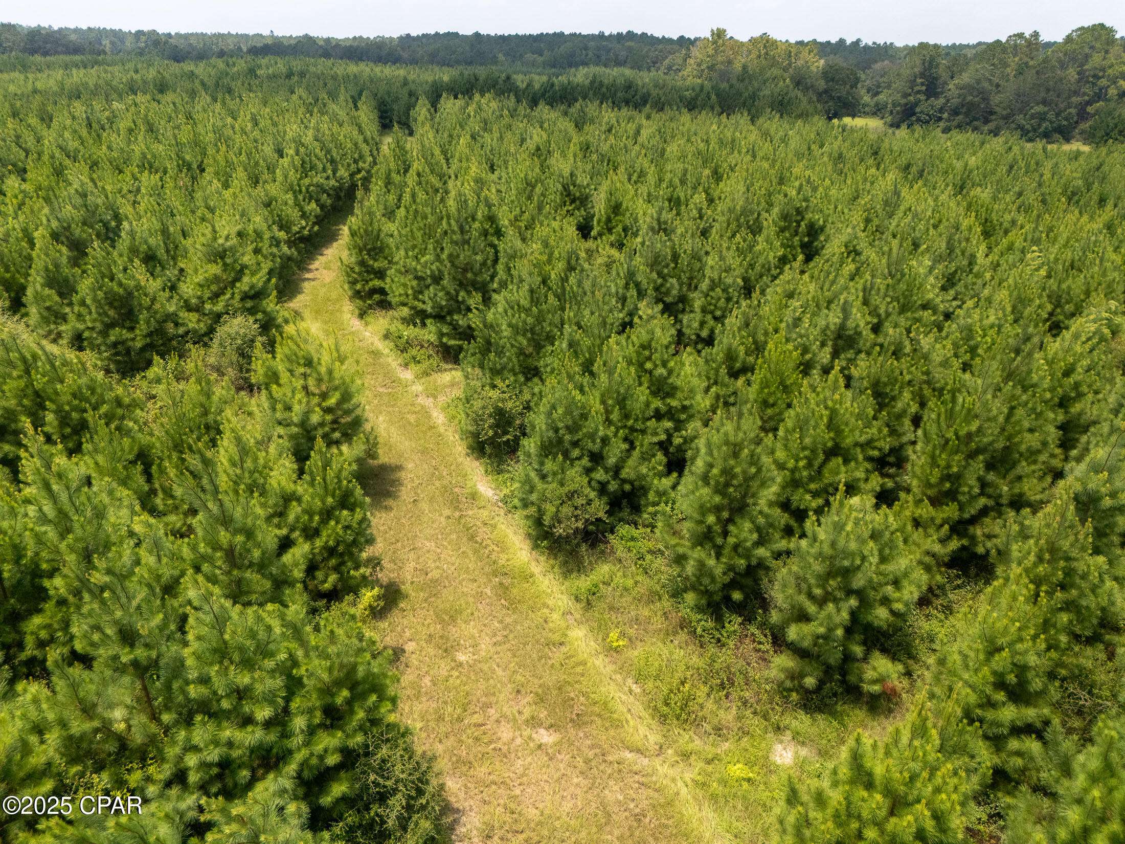 Westville, FL 32464,1716 Bradley RD