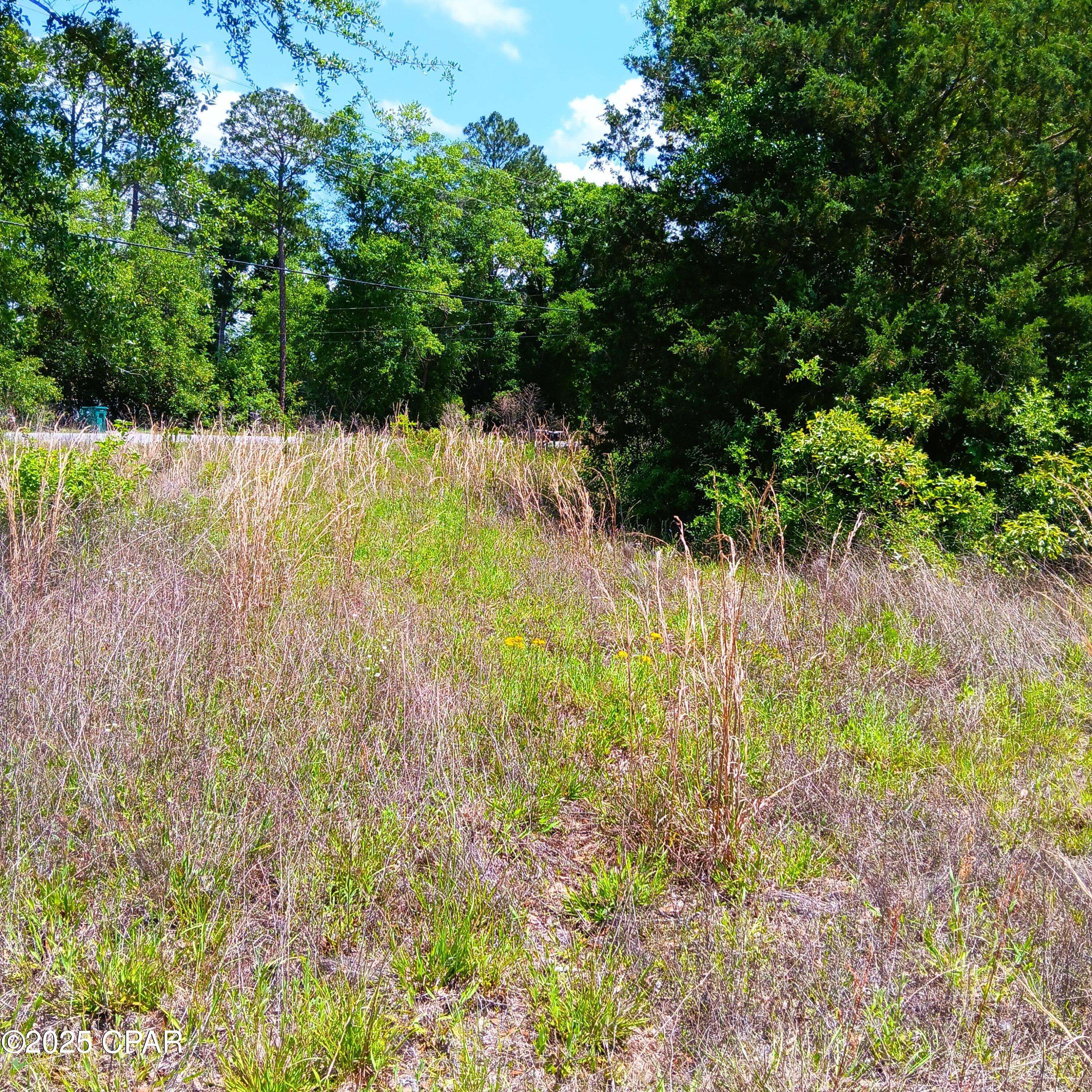 Greenwood, FL 32443,0 W Fort RD