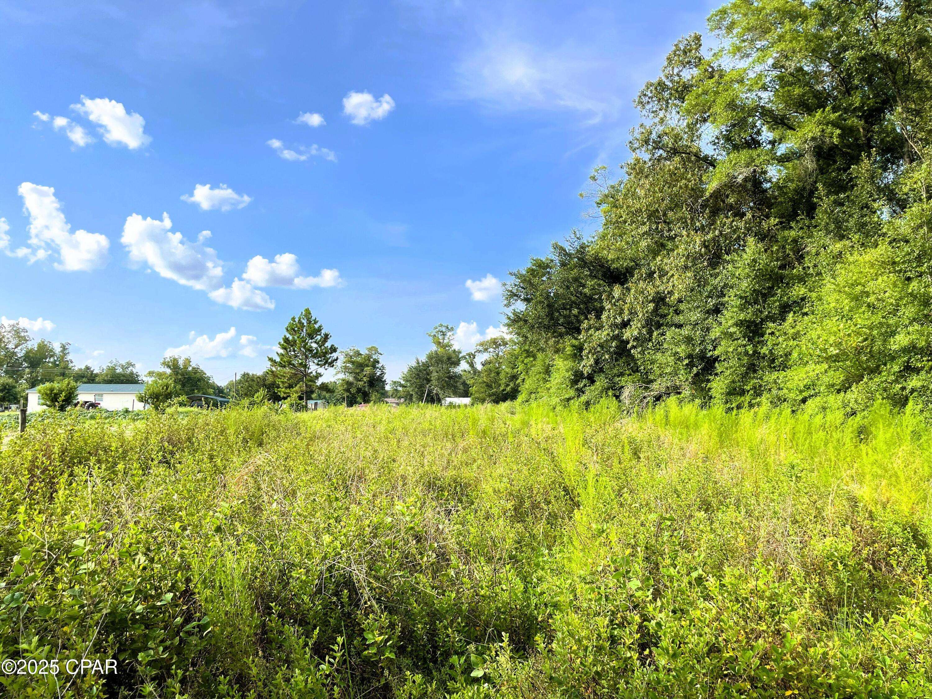 Greenwood, FL 32443,0 W Fort RD