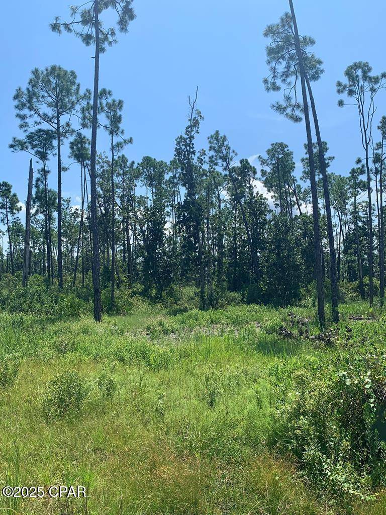 Panama City, FL 32404,926 Watermark WAY