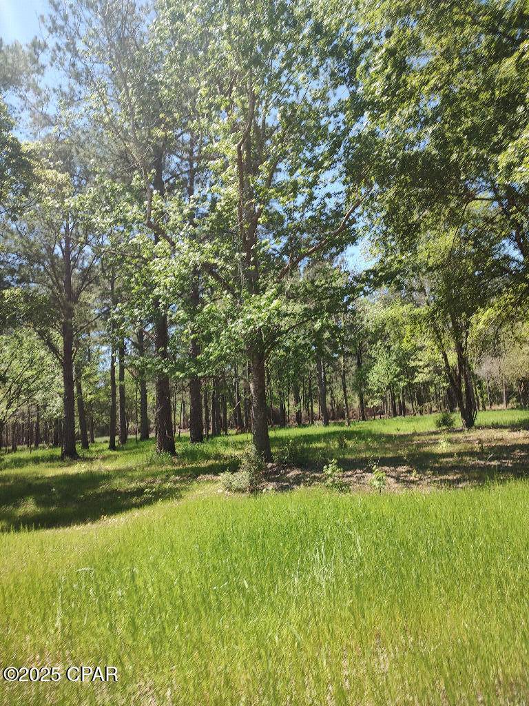 Wewahitchka, FL 32465,4810 CR 381