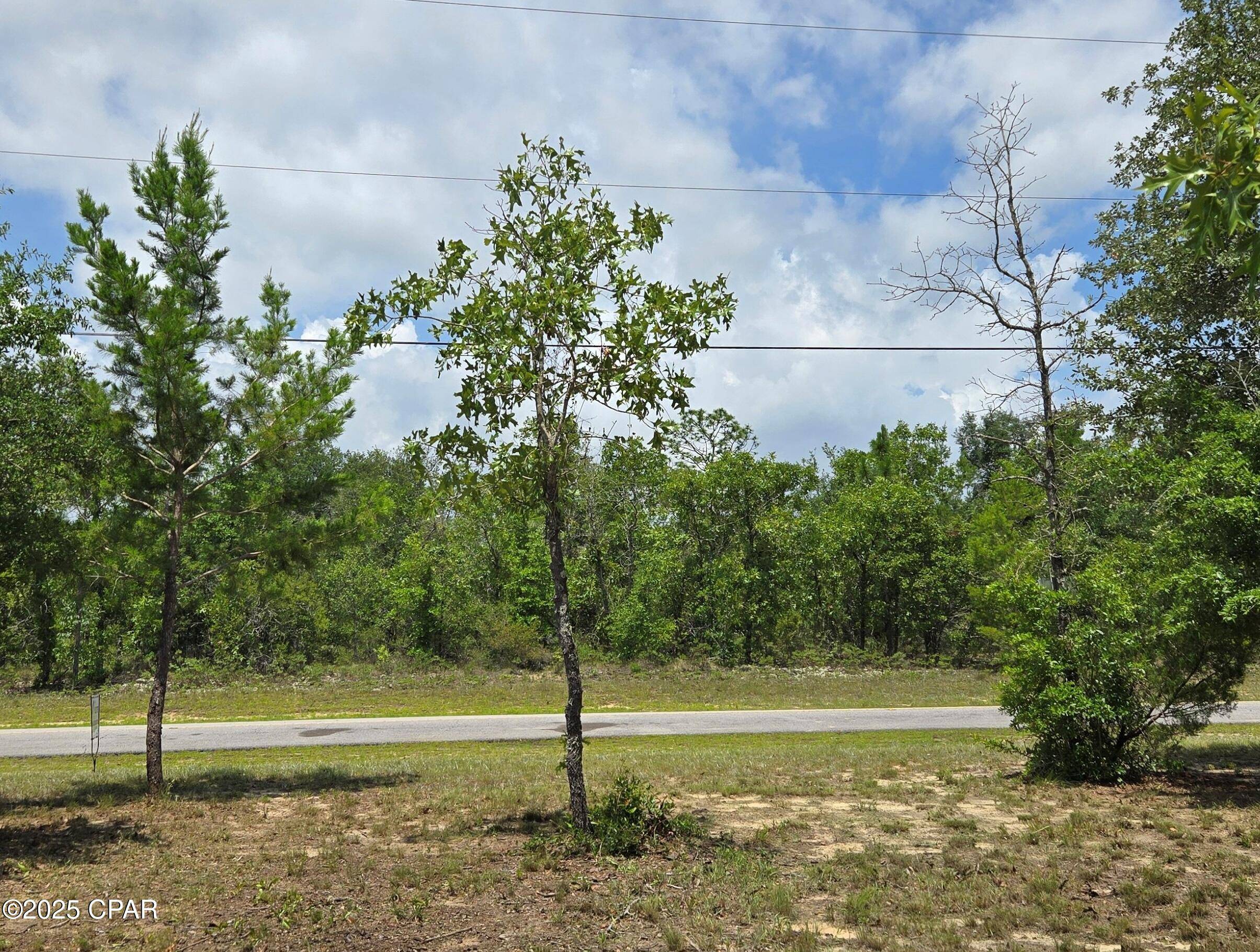 Chipley, FL 32428,Lot 31 Aldoro CIR