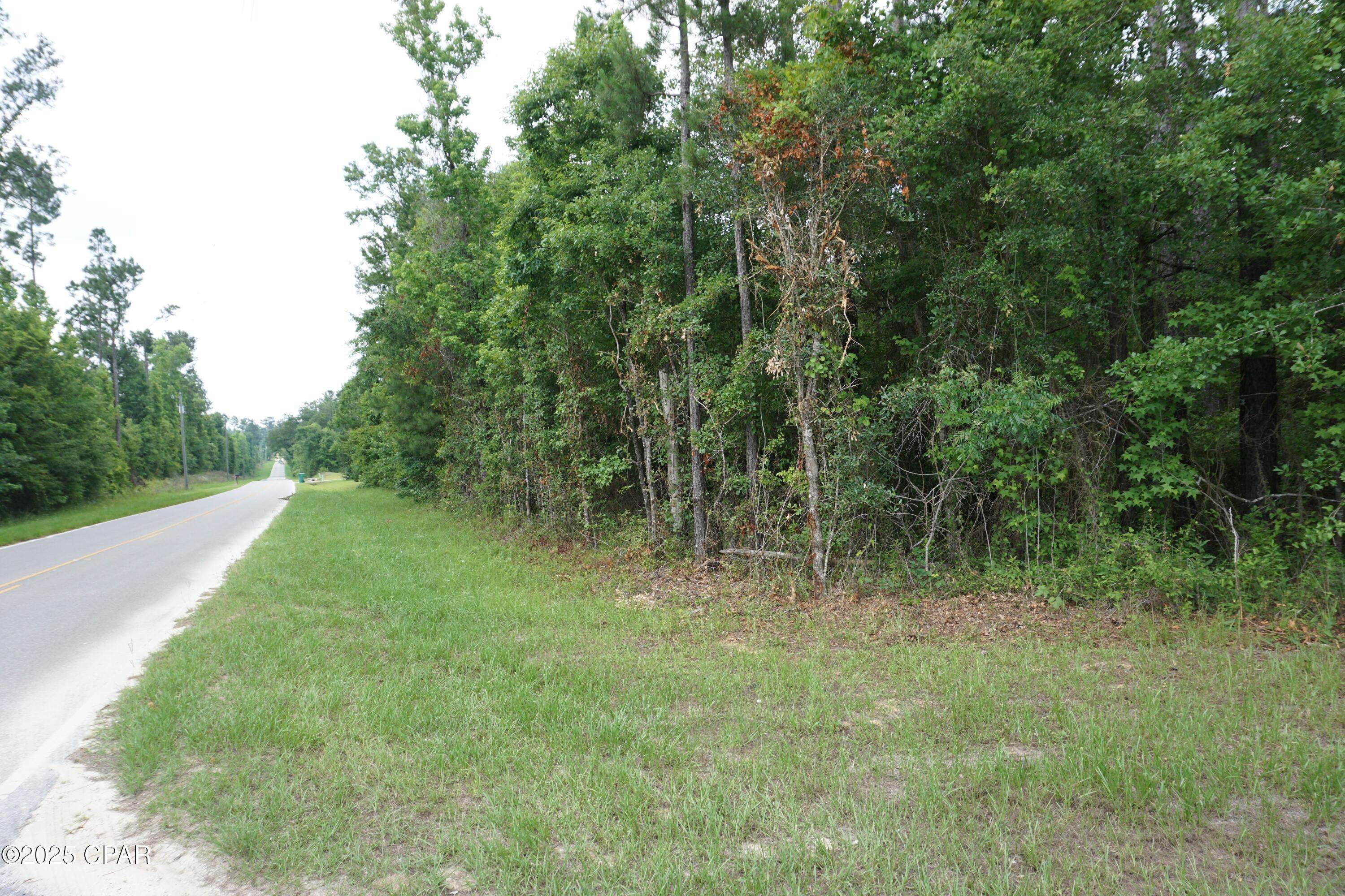 Sneads, FL 32460,xxx Hammond RD