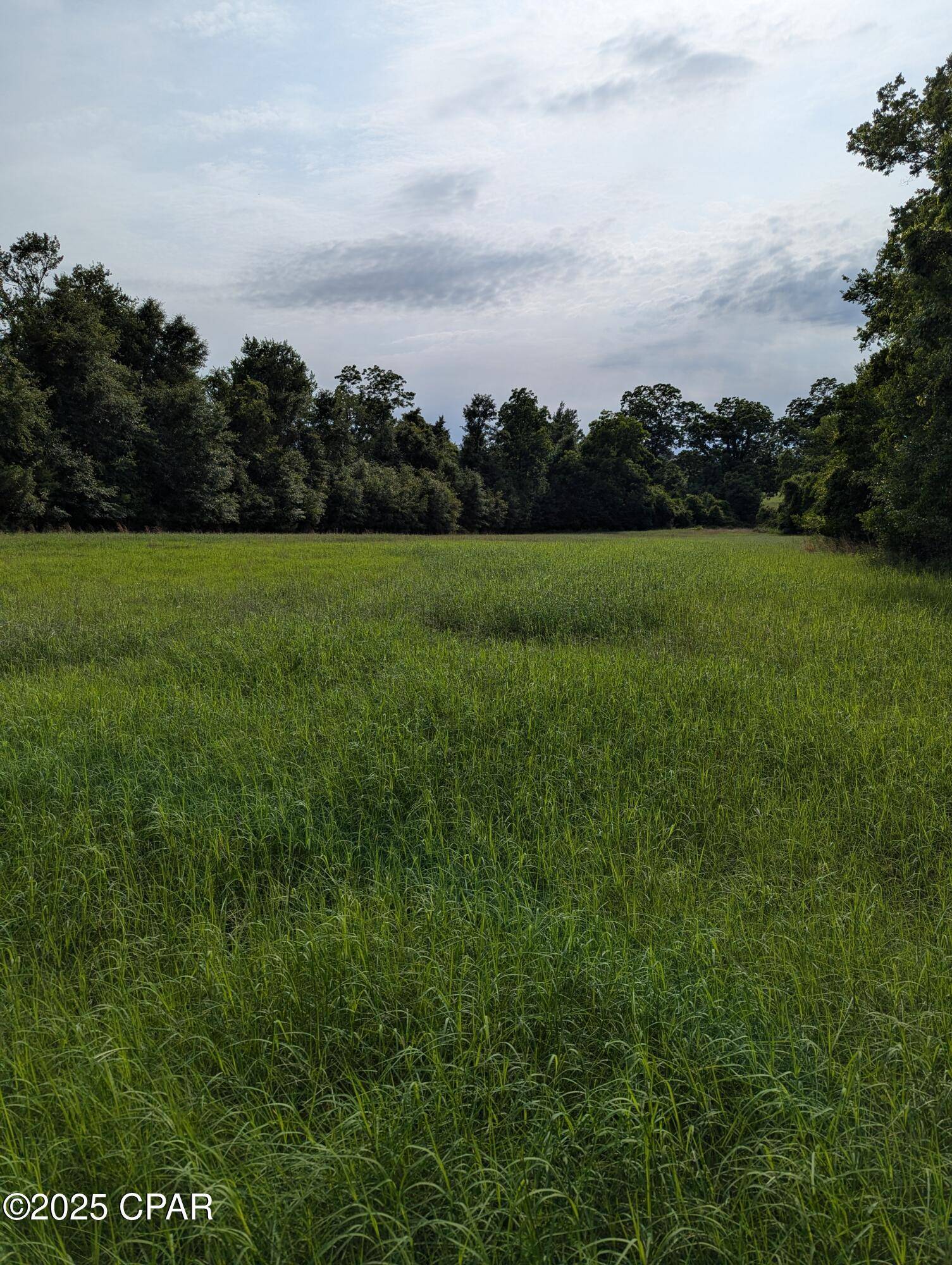 Marianna, FL 32446,00 Poplar Springs RD