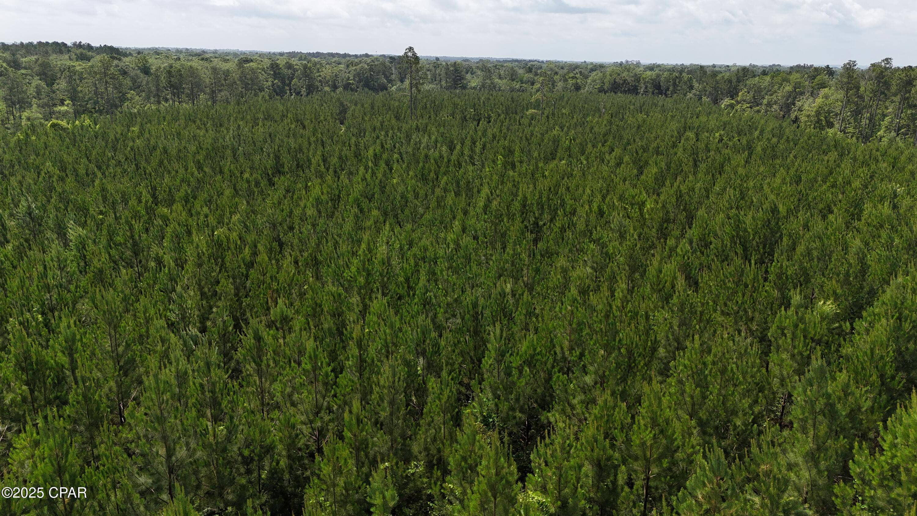 Chipley, FL 32428,00 Douglas Ferry RD