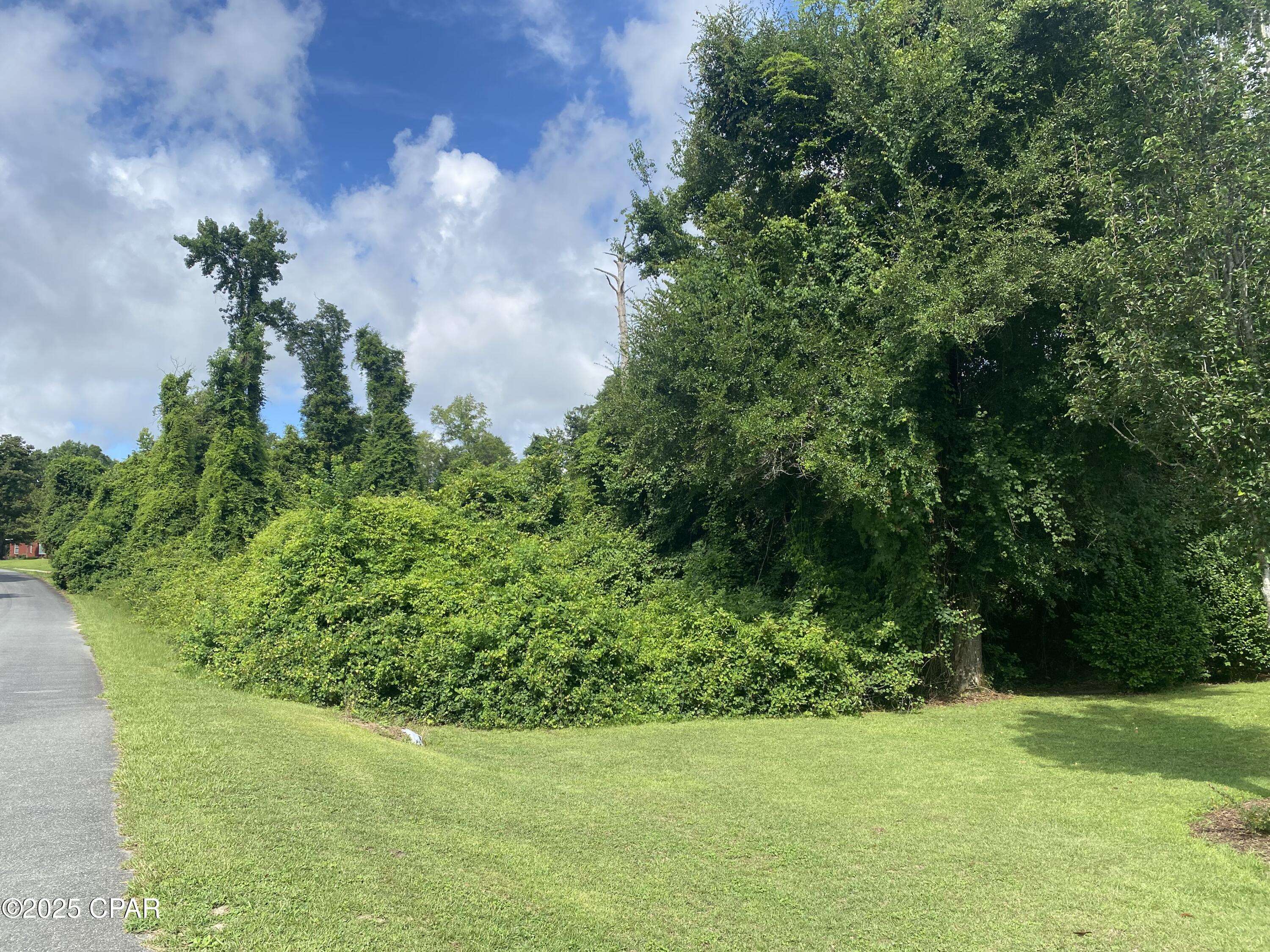 Marianna, FL 32446,0000 Magnolia Blossom LN #16