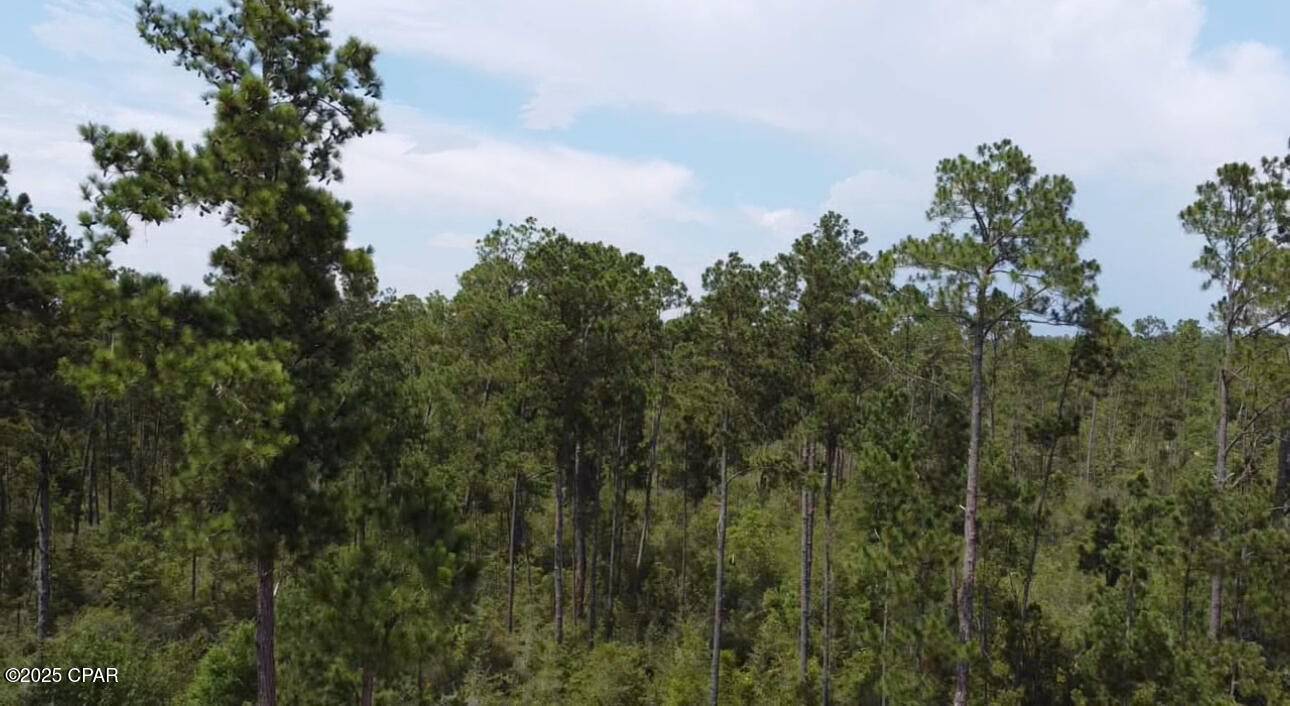 Alford, FL 32420,0 Black Hills ST