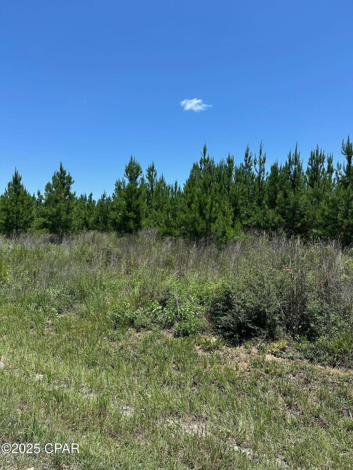 Altha, FL 32421,000 NW Camp Head RD