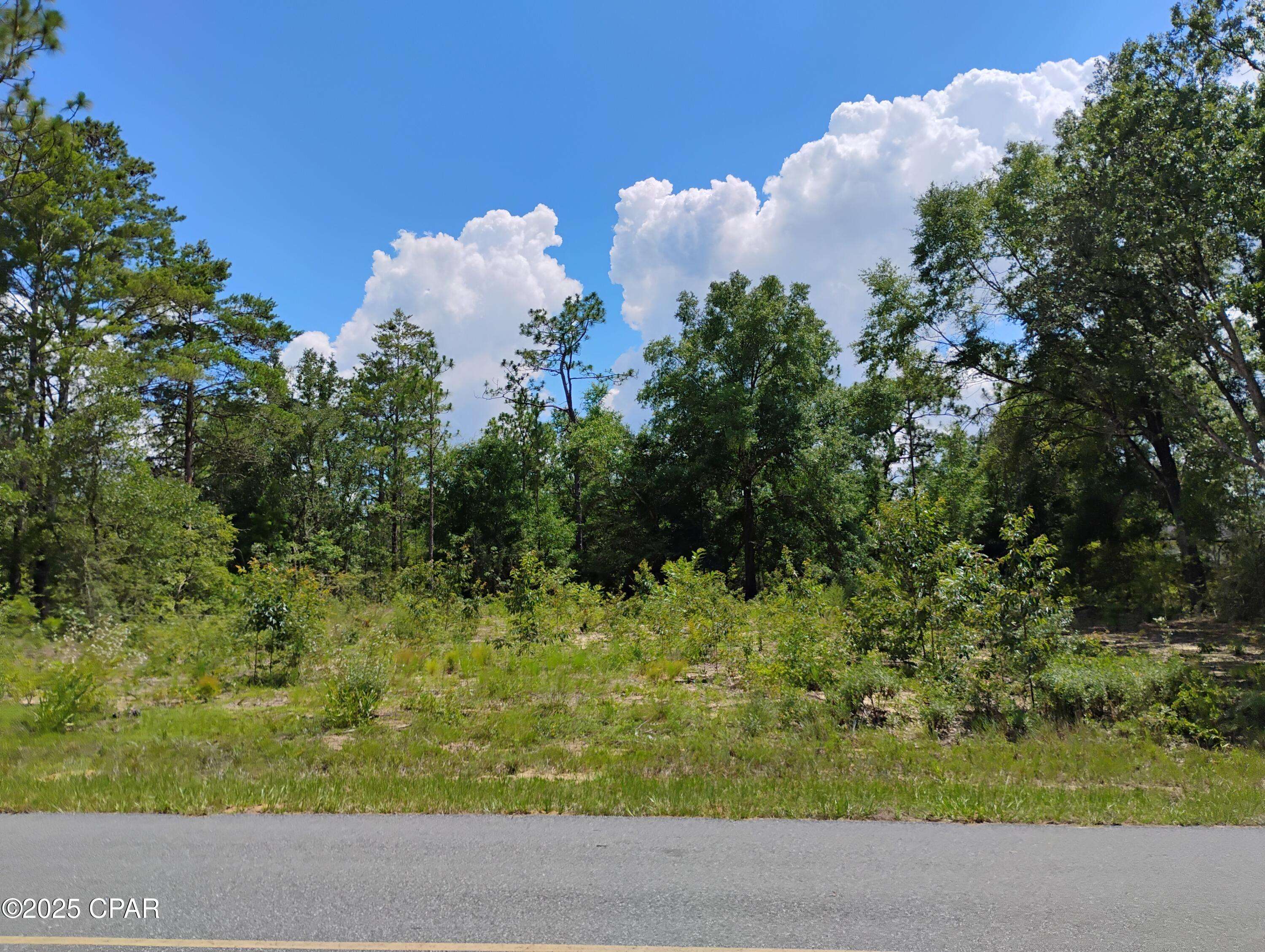 Chipley, FL 32428,Lot 2 Walkerton DR
