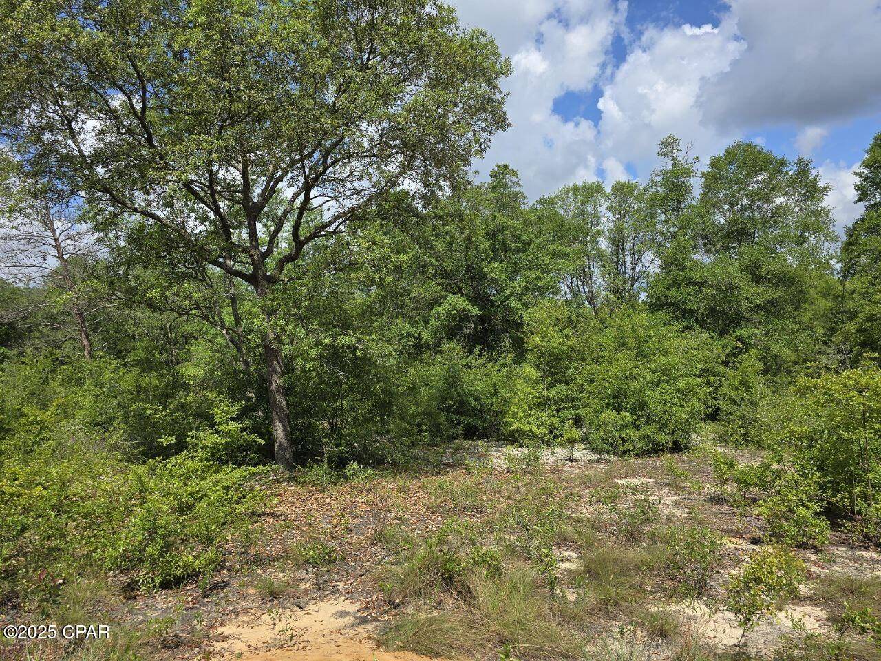 Chipley, FL 32428,Lot 7 Caldwell PL