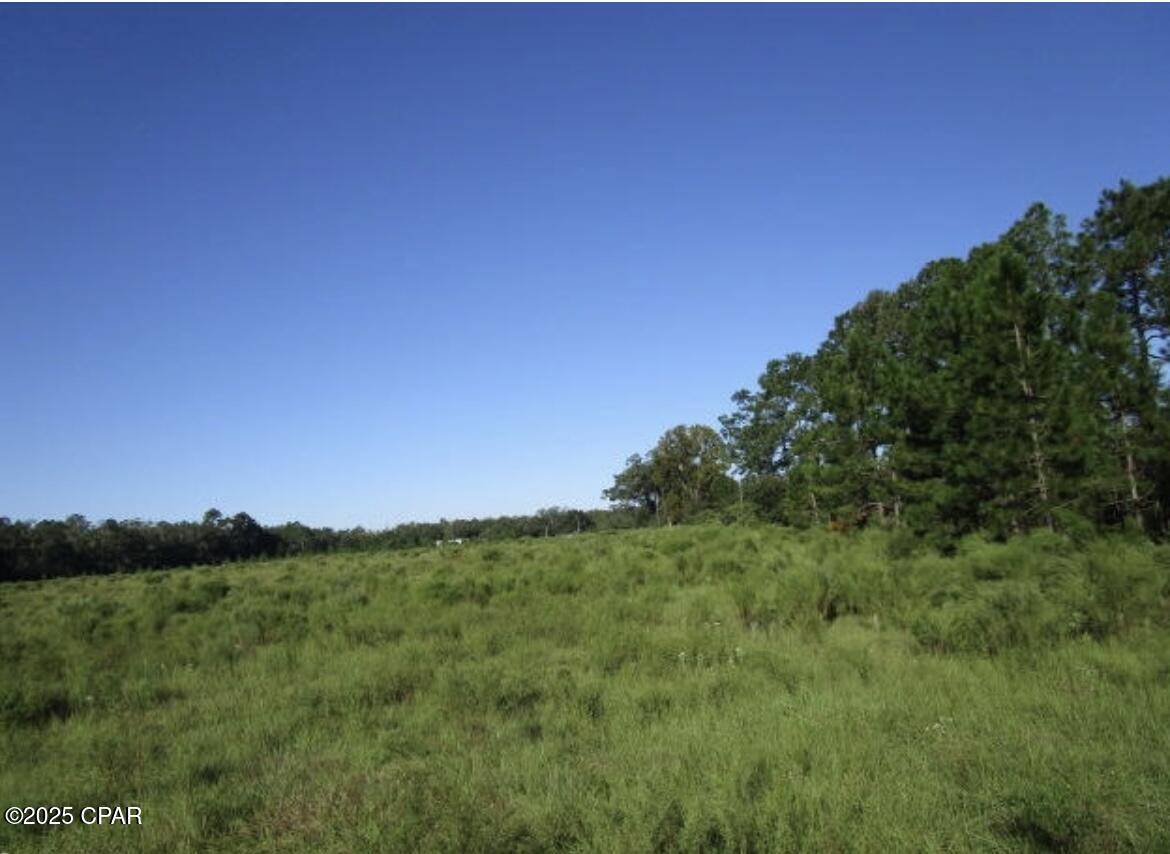 Crawfordville, FL 32326,0000 Crawfordville HWY