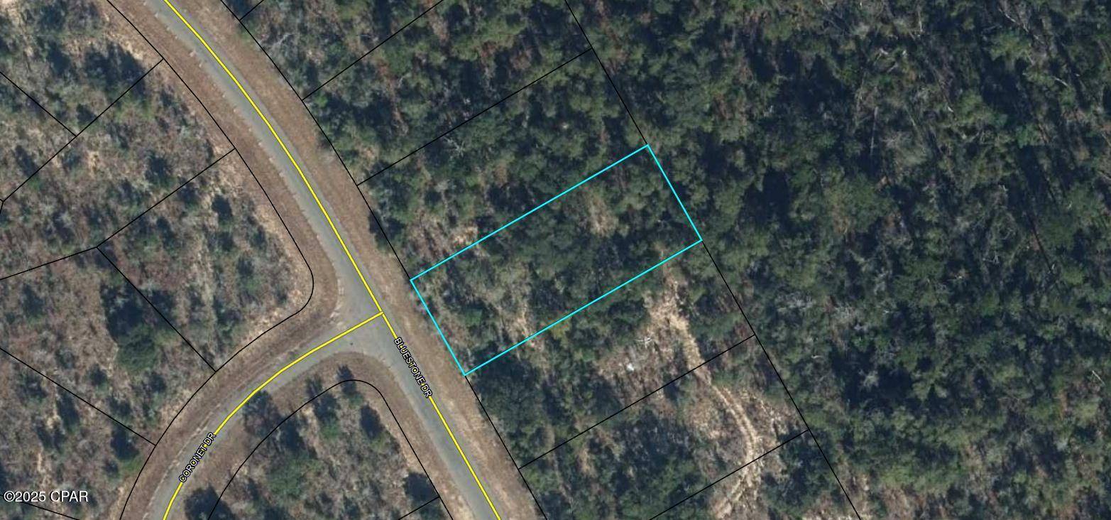 Chipley, FL 32428,Lot 26 Bluestone DR