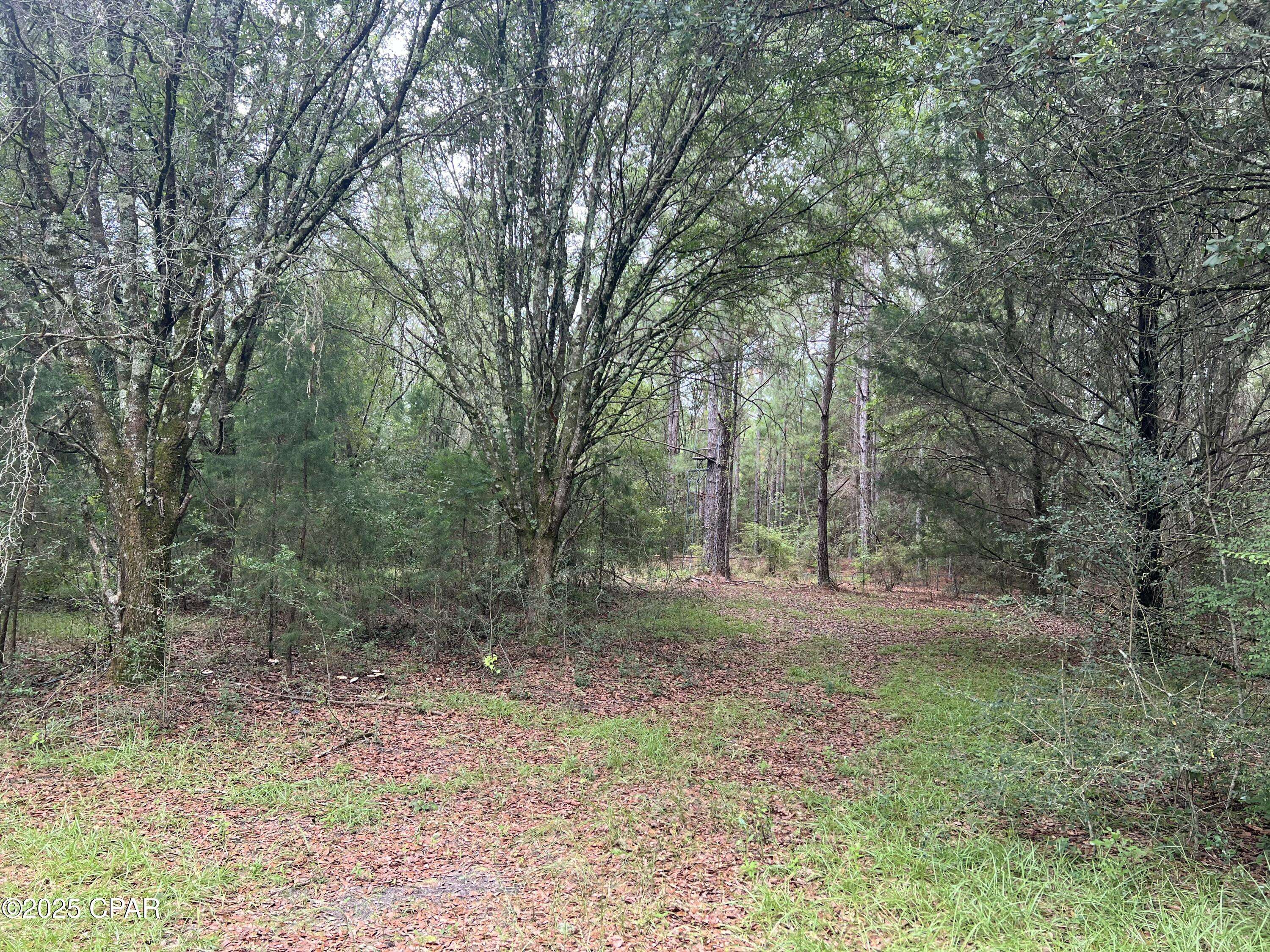 Bonifay, FL 32425,1680 Franks LN