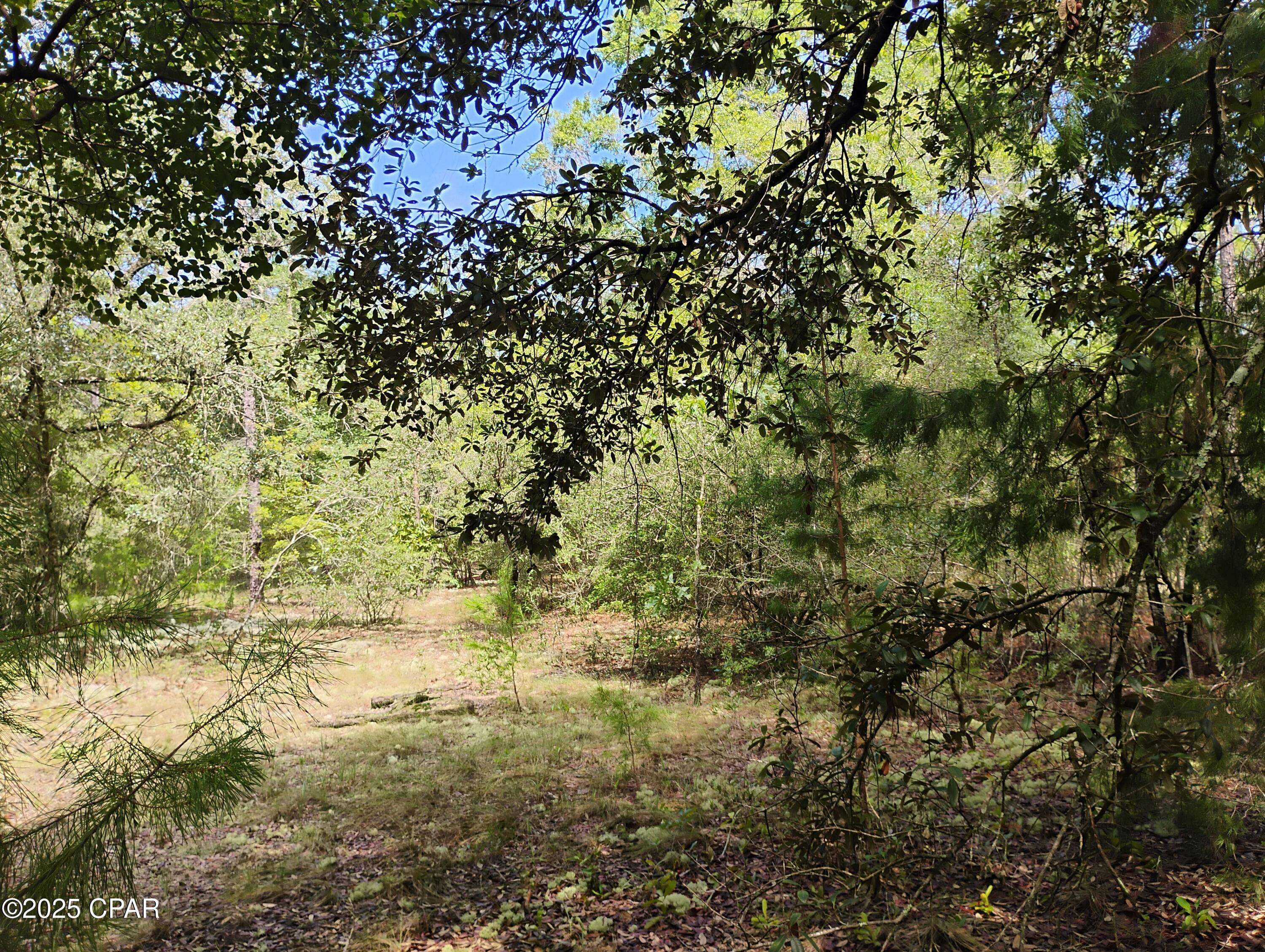 Chipley, FL 32428,Lot 10 Challenger BLVD