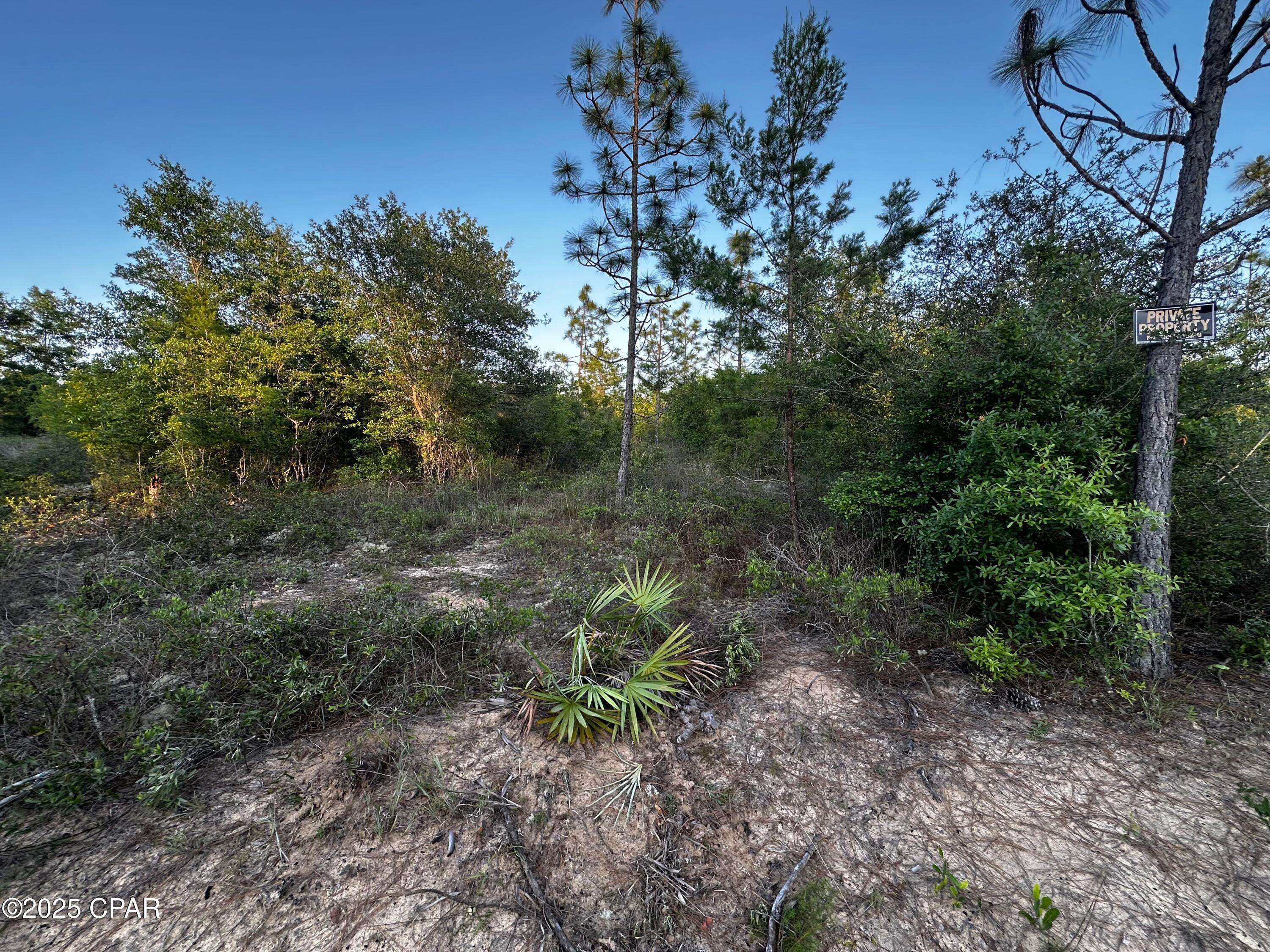 Fountain, FL 32438,0 N North Silver Lake RD