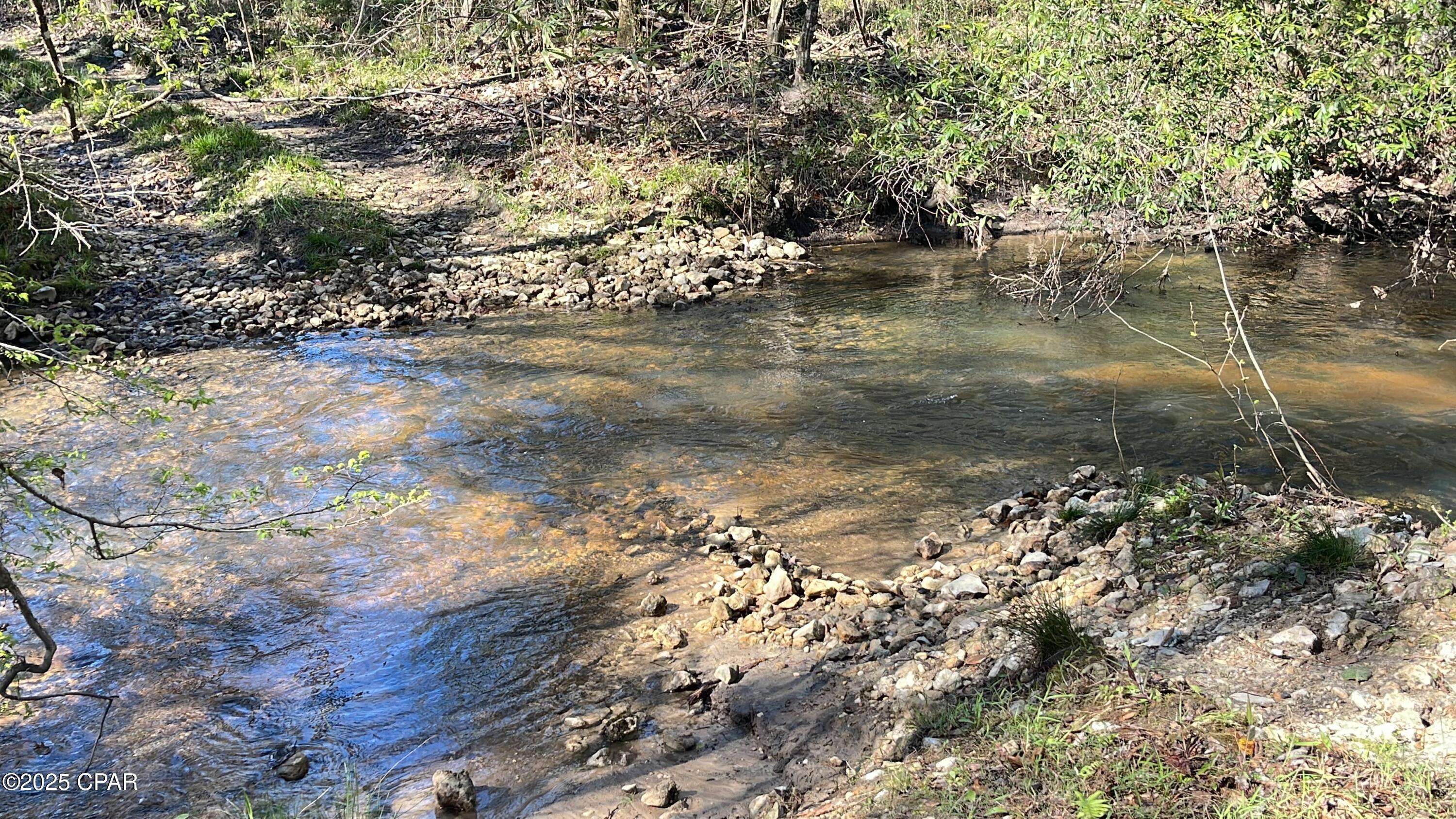 Bonifay, FL 32425,37+Acres Ten Mile Rd