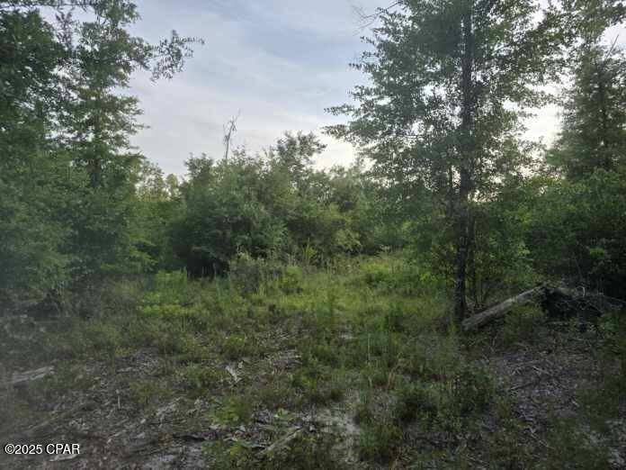 Marianna, FL 32448,0 Bartlett RD