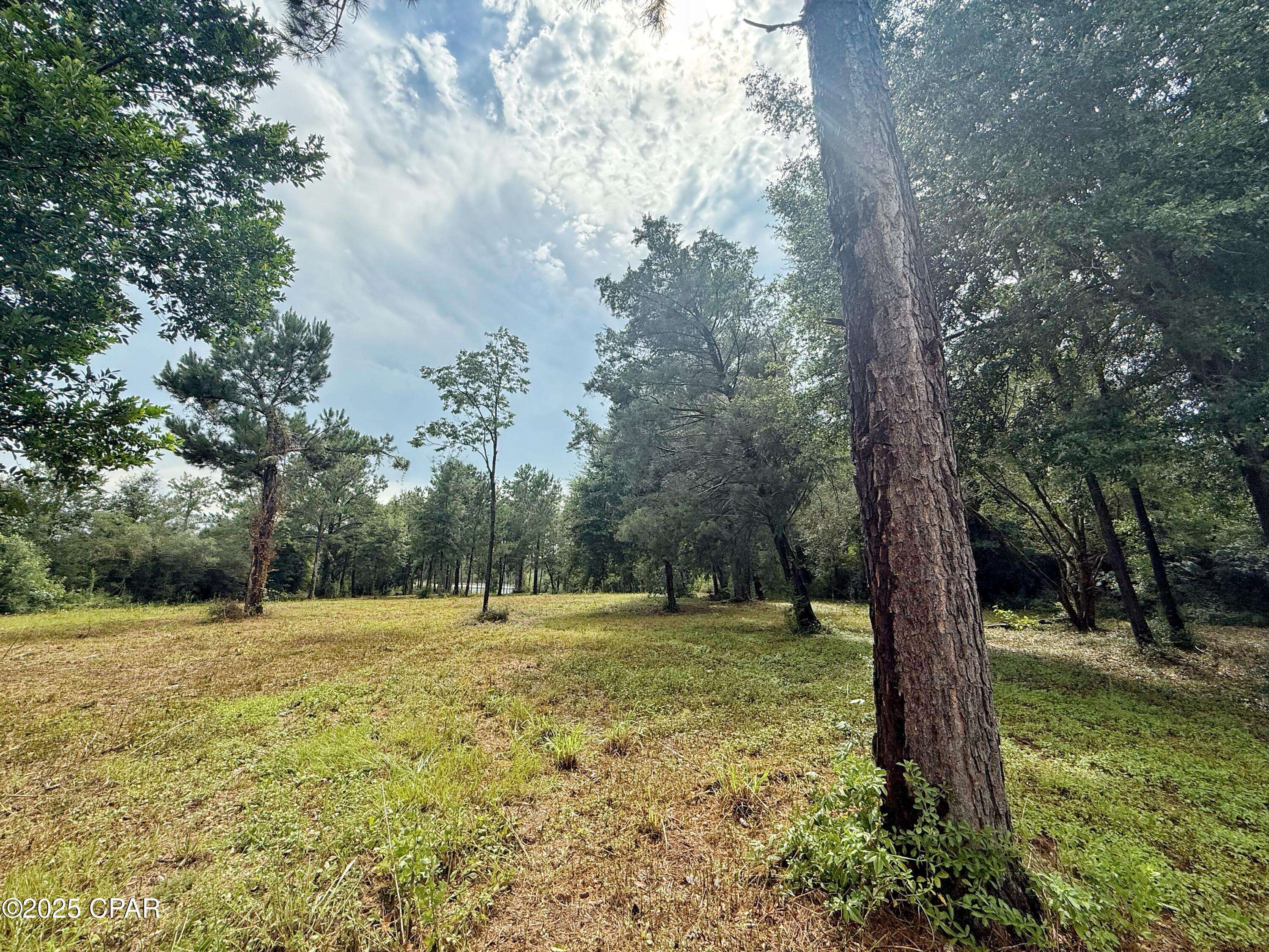 Alford, FL 32420,08 McPherson DR