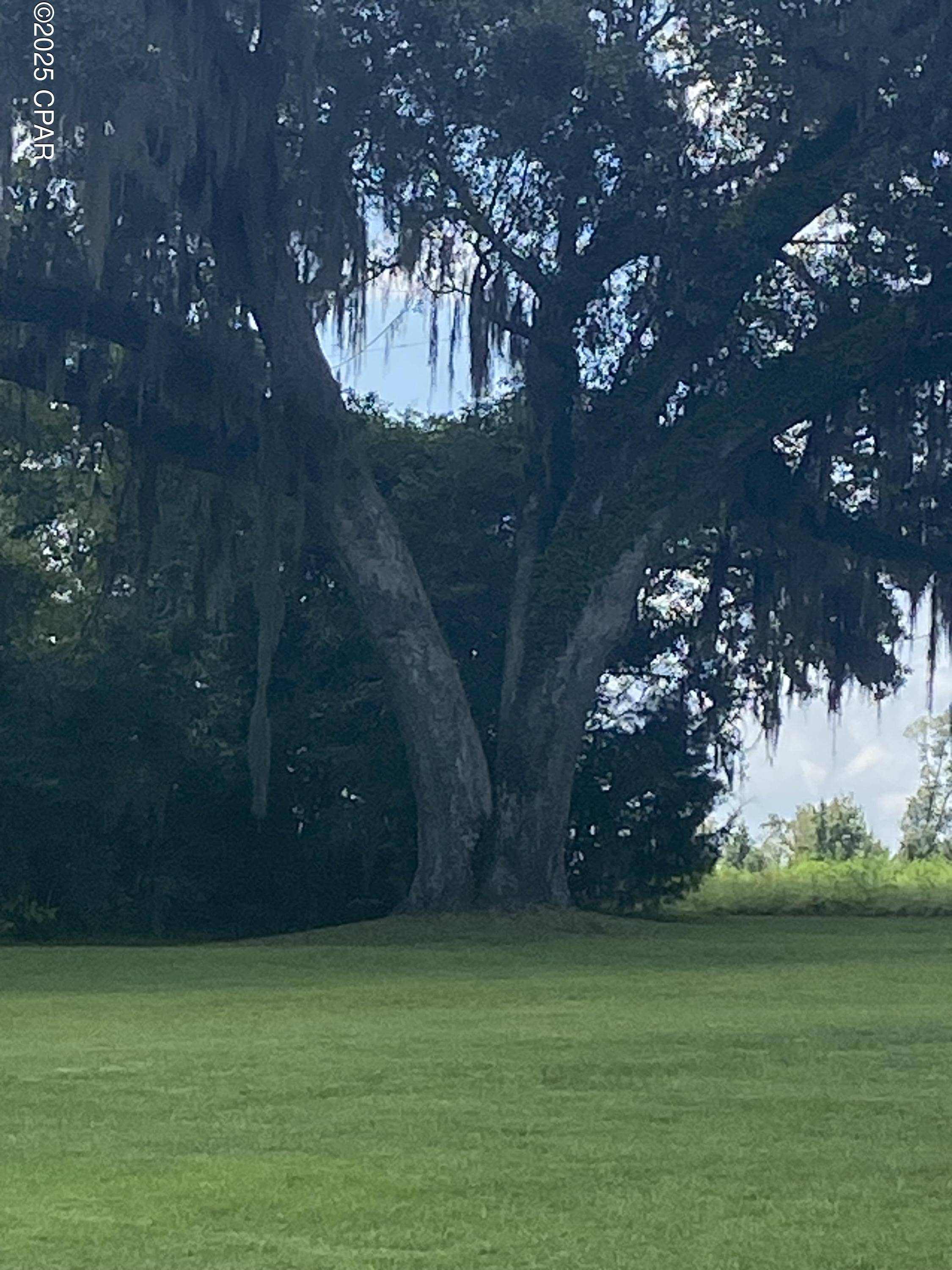 Grand Ridge, FL 32442,1386 Parker RD