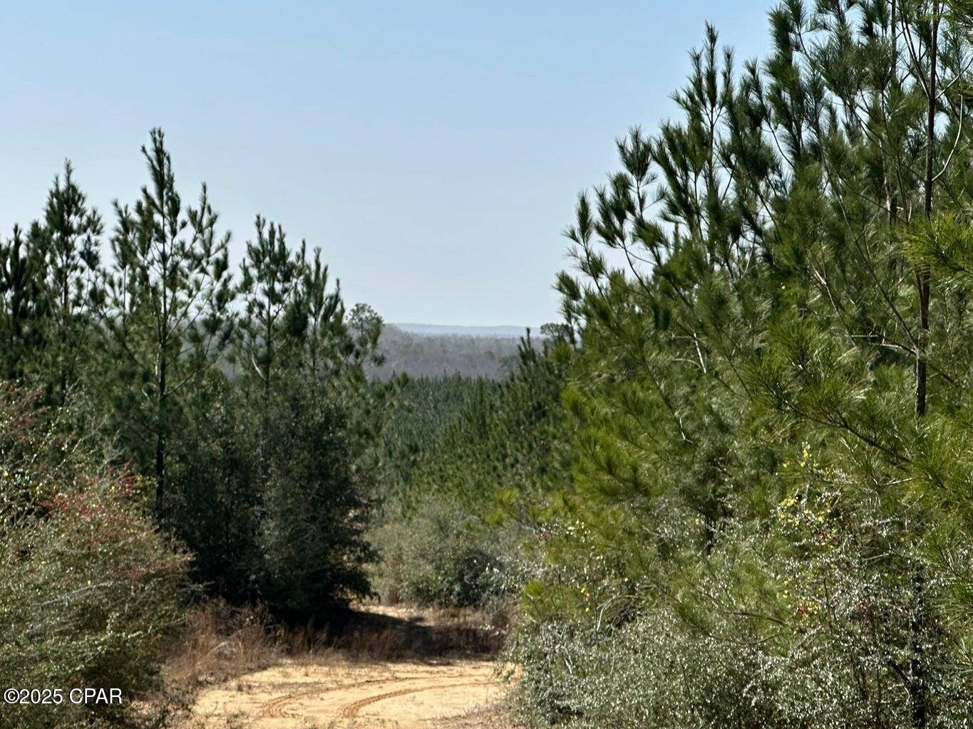 Caryville, FL 32427,Tract#6416 S Douglas Ferry RD