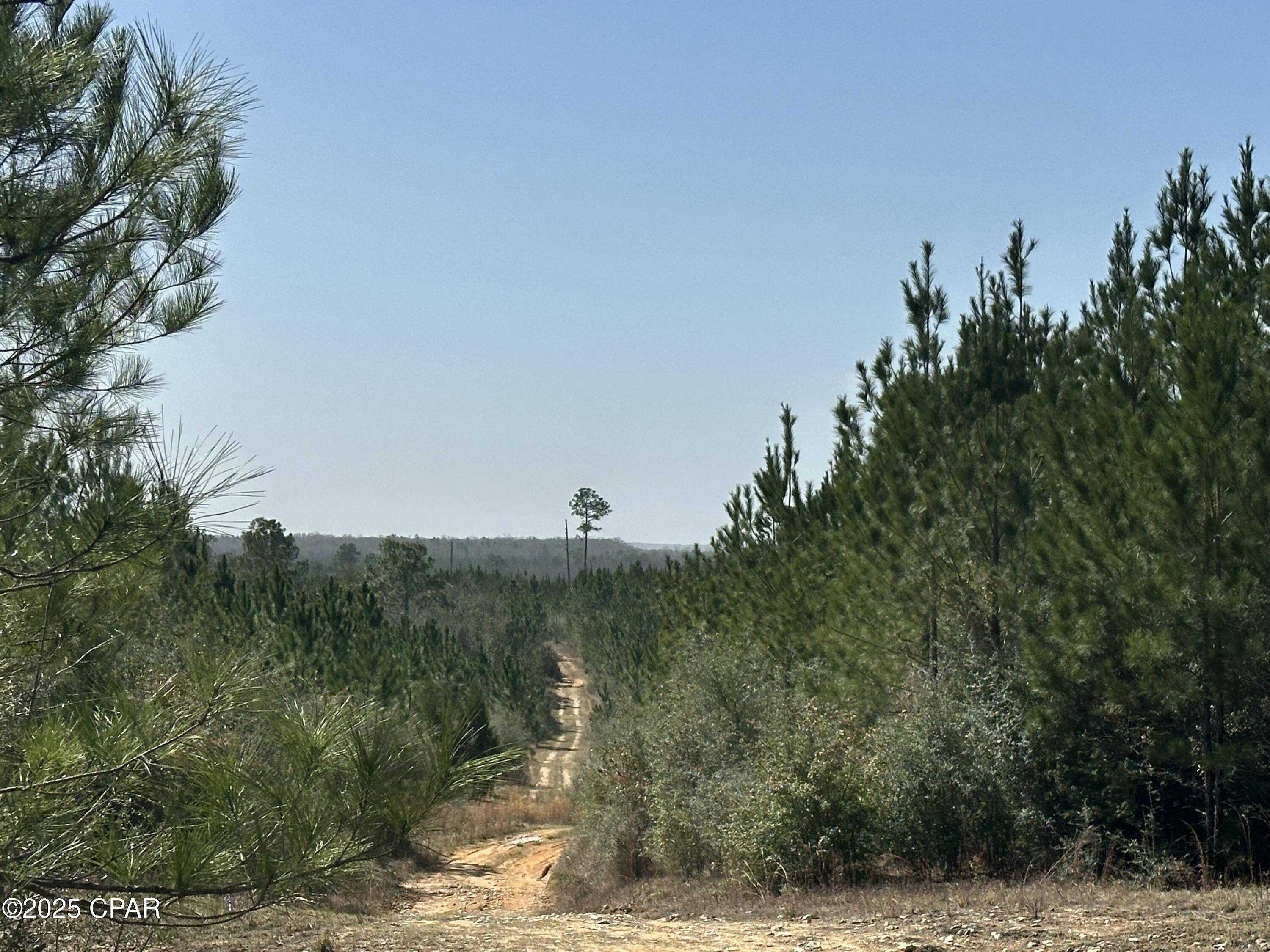 Caryville, FL 32427,Tract#6416 S Douglas Ferry RD