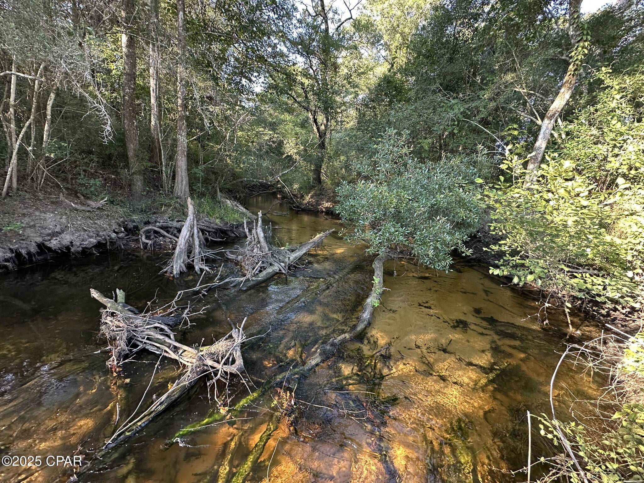 Defuniak Springs, FL 32433,Tract#6201 Doyle Morgan RD