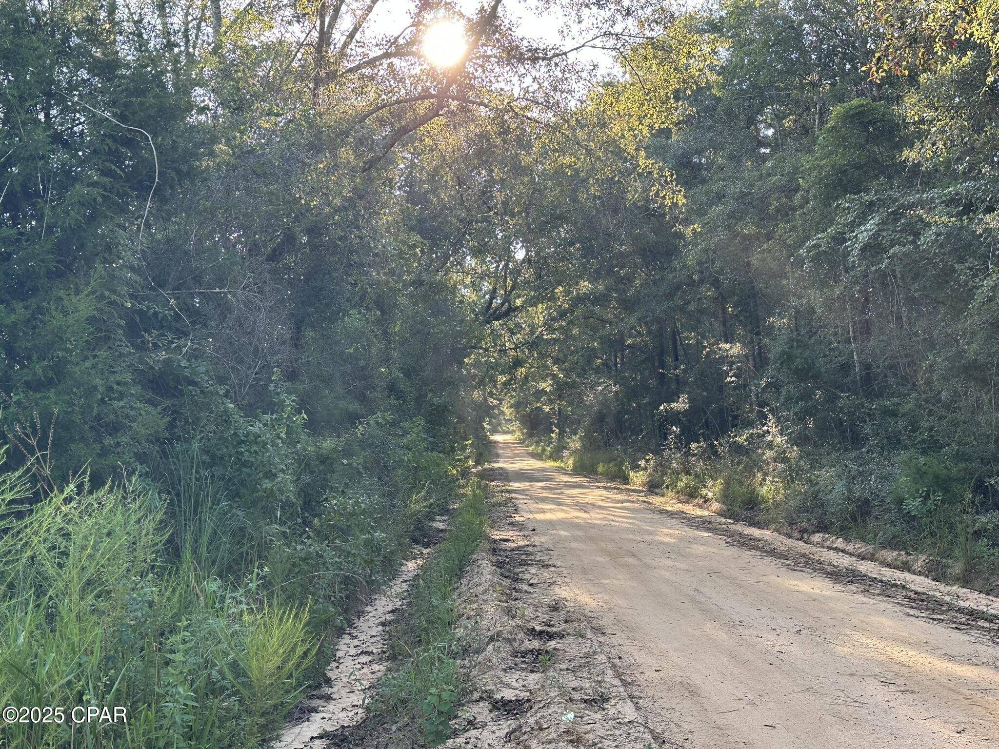 Defuniak Springs, FL 32433,Tract#6201 Doyle Morgan RD