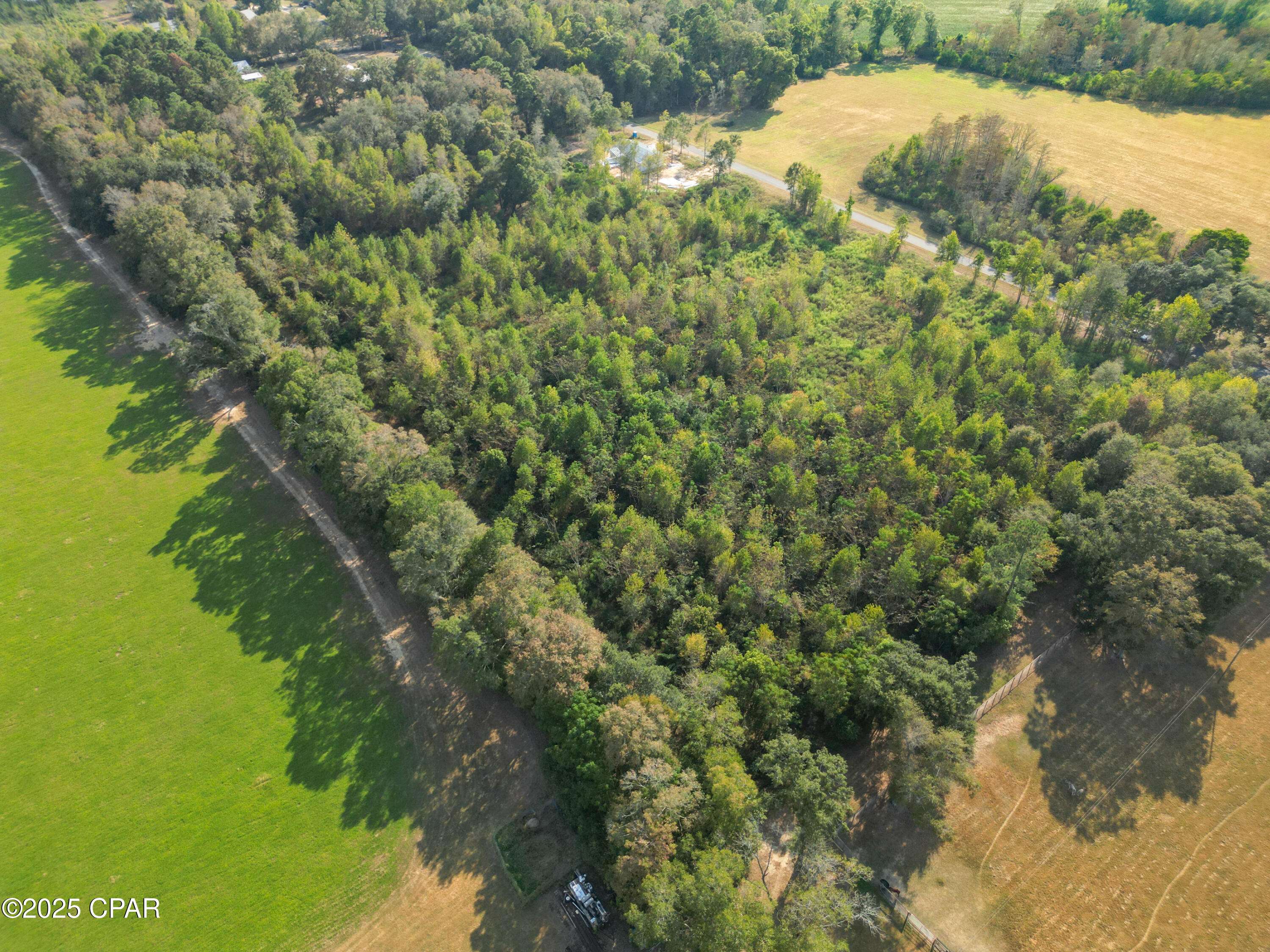 Graceville, FL 32440,Parcel 4 1st AVE