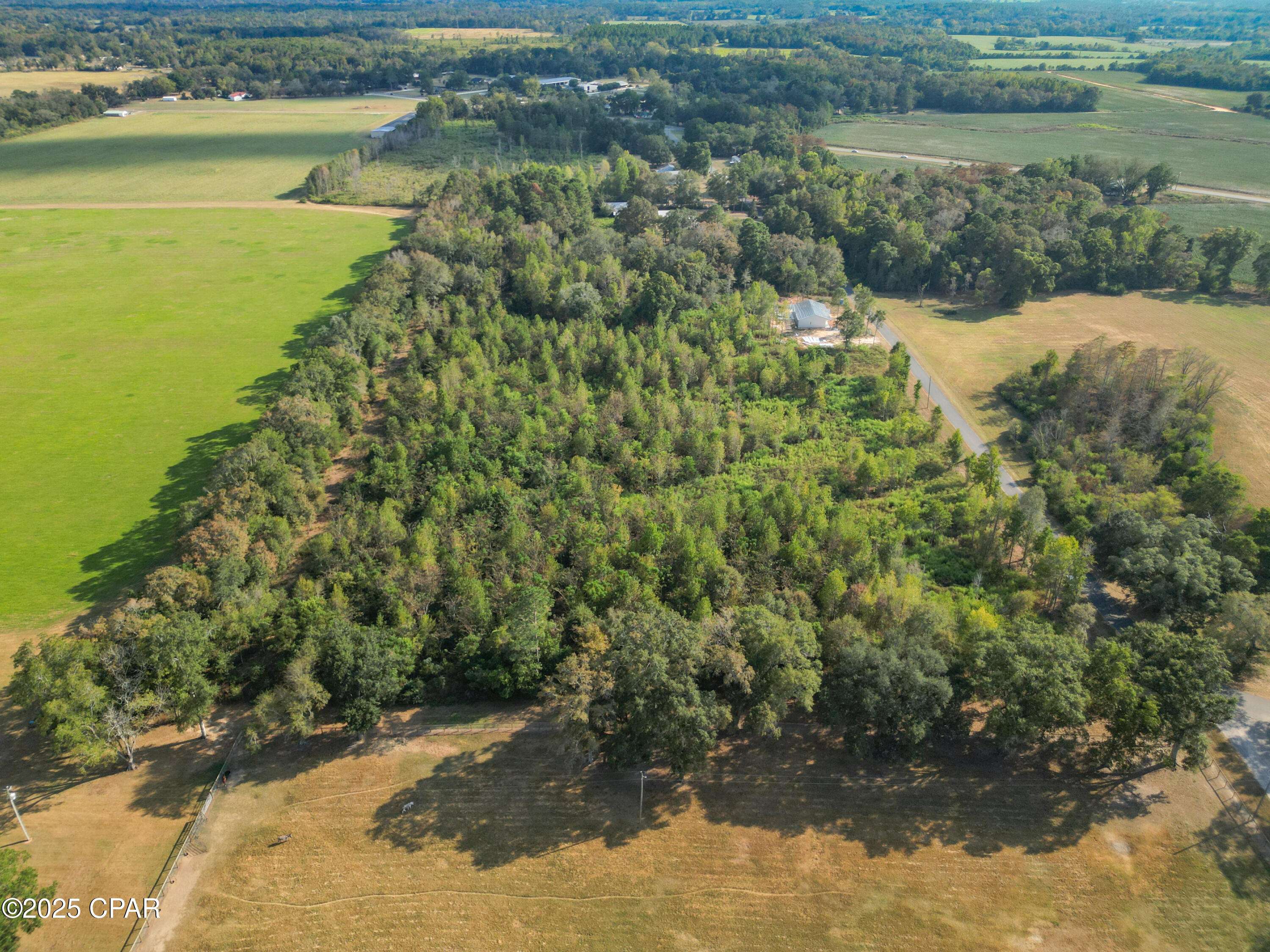 Graceville, FL 32440,Parcel 5 1st AVE