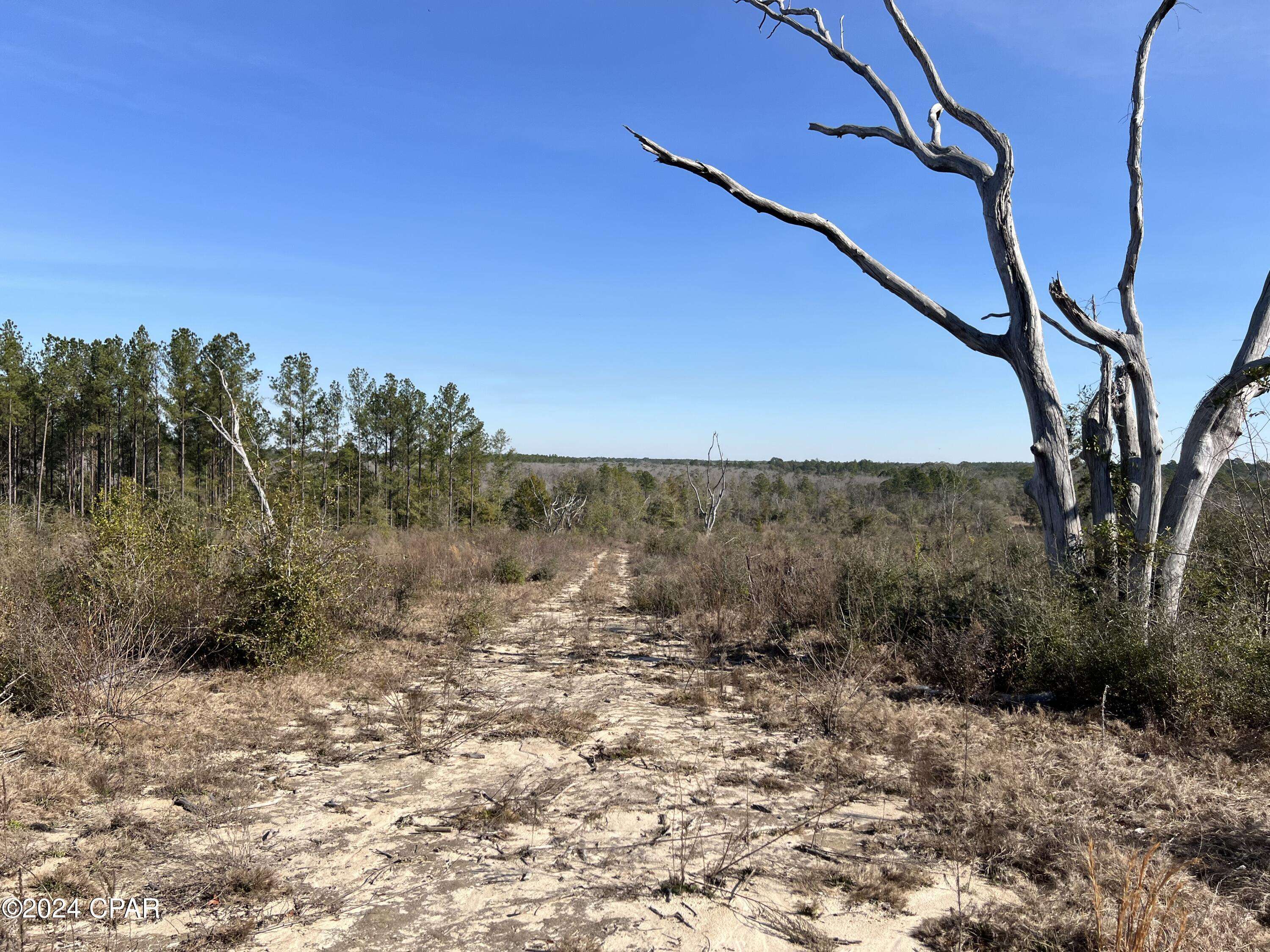 Ponce De Leon, FL 32455,0 James Luther Street